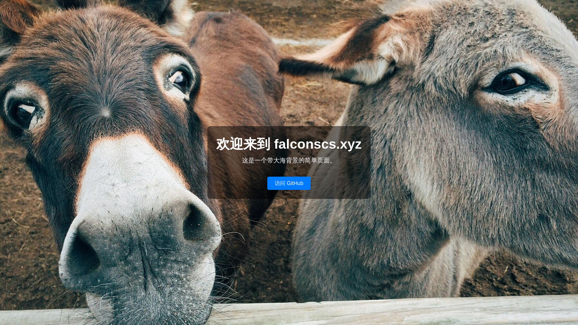 website screenshot of https://falconscs-site.pages.dev/