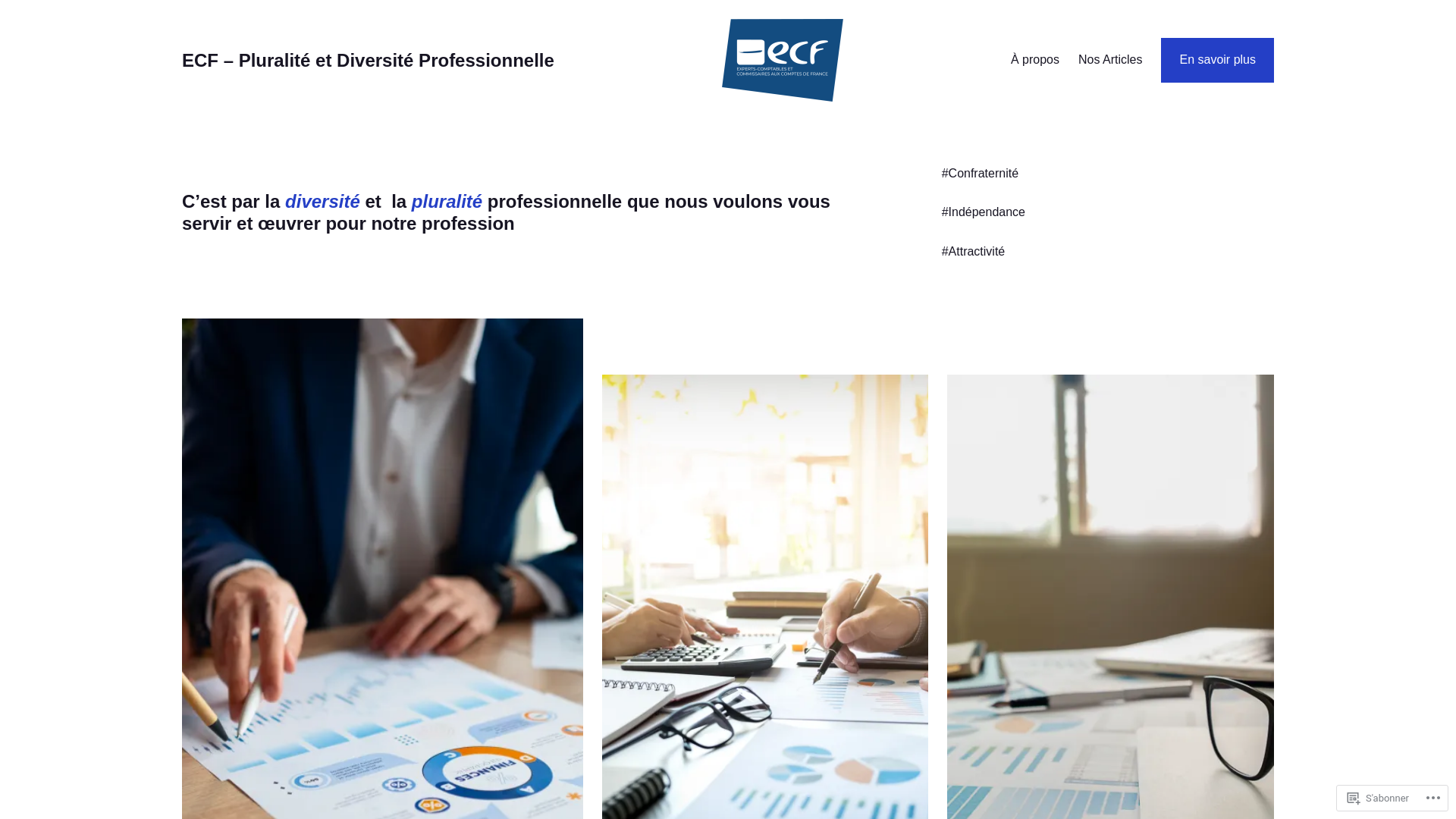website screenshot of https://pluralite-diversite-pro.fr