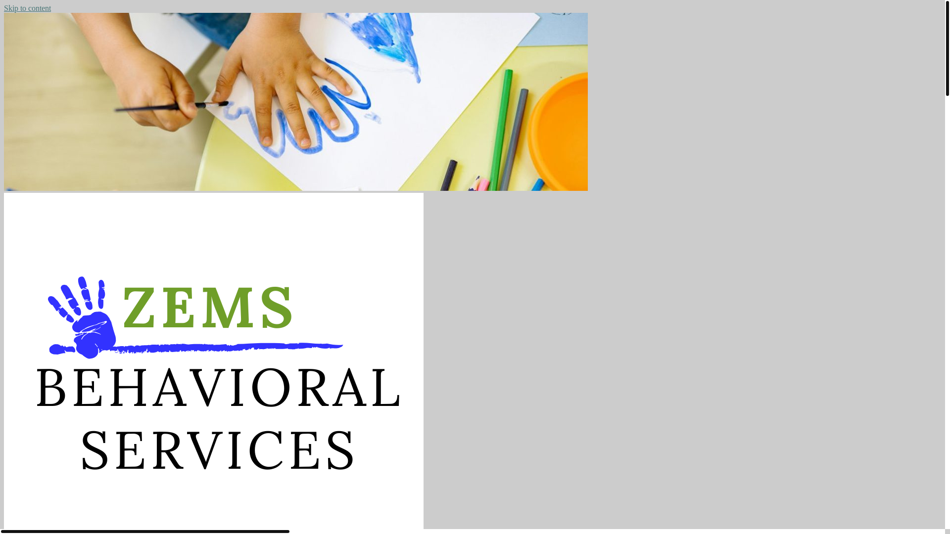 website screenshot of https://zemsbehavior.com/