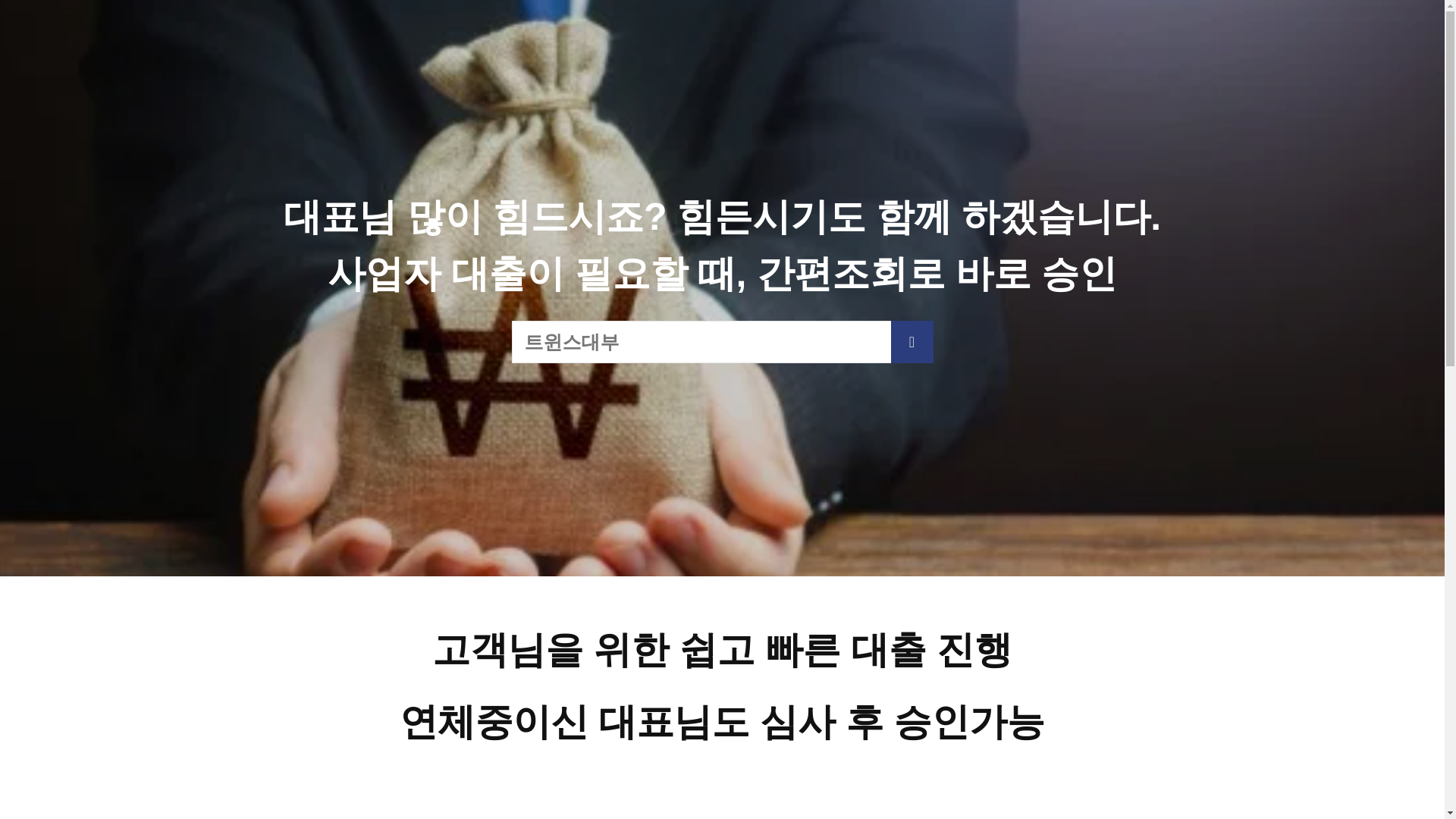 website screenshot of https://twinsloan.co.kr/