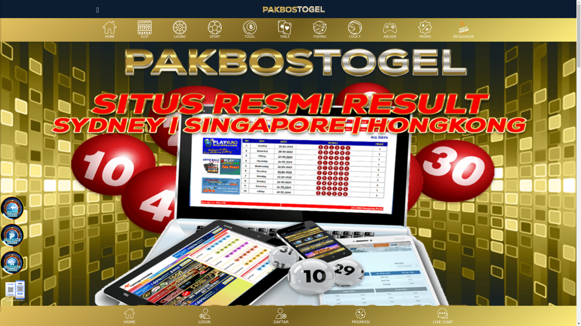 website screenshot of https://pakbostogel.today/