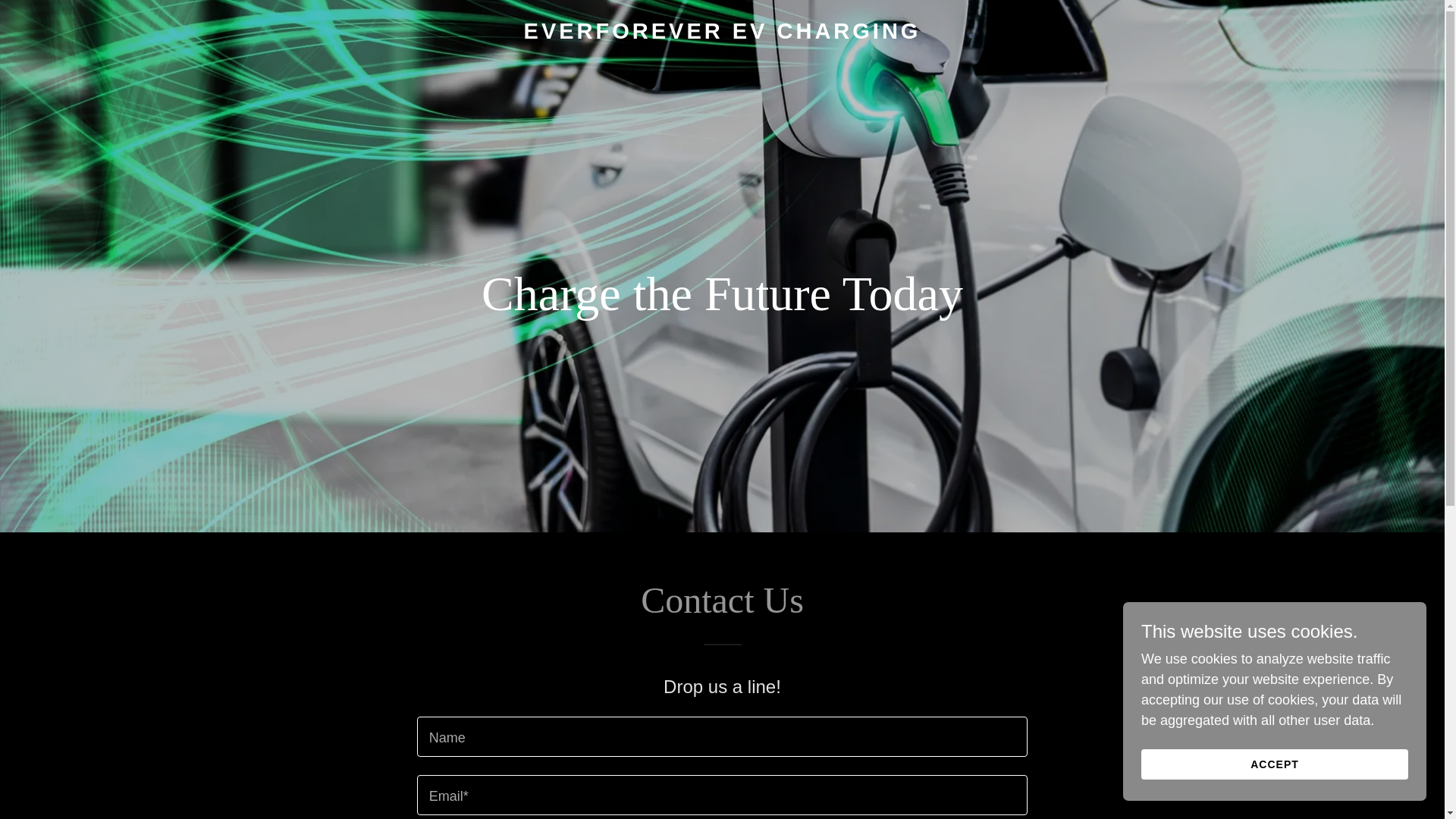 website screenshot of https://everforeverev.com/