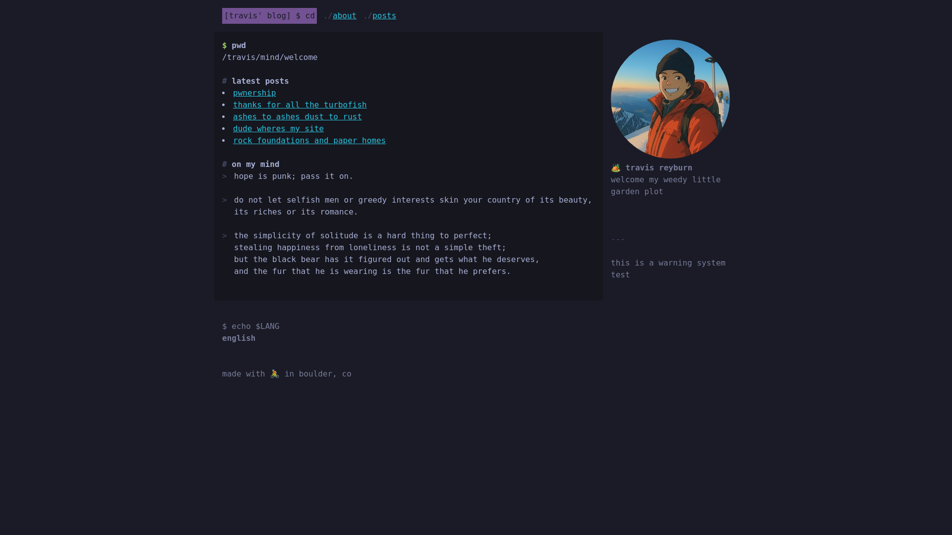 website screenshot of https://treyburn.dev/