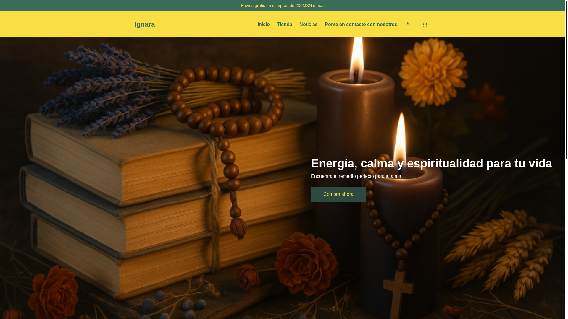 website screenshot of https://ignara.com.mx/