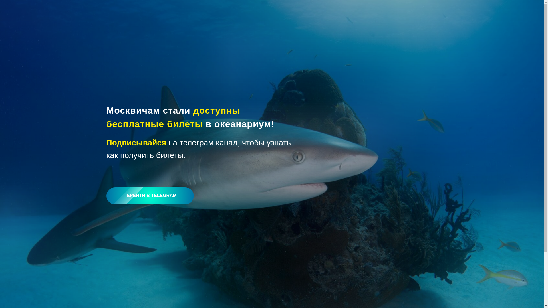 website screenshot of https://moscone.ru/