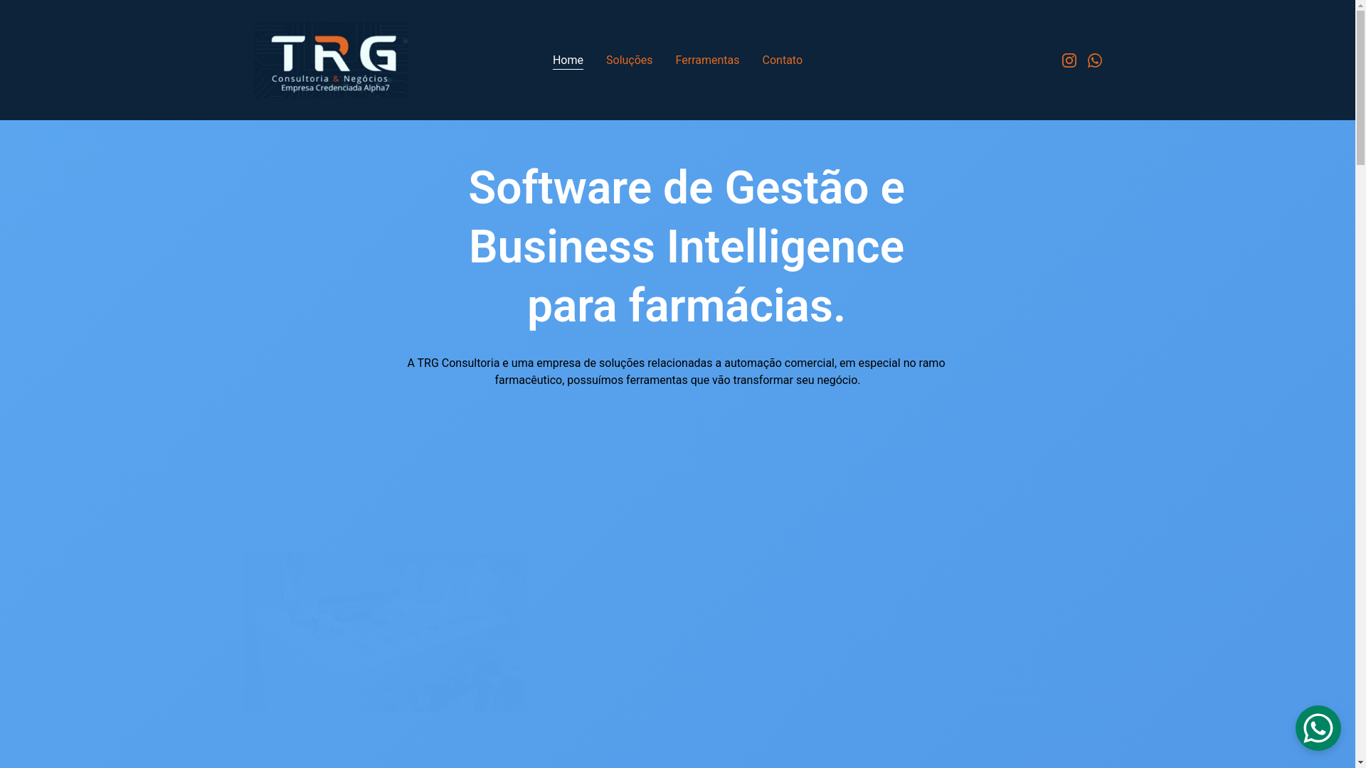 website screenshot of https://trgsolucoes.com.br/