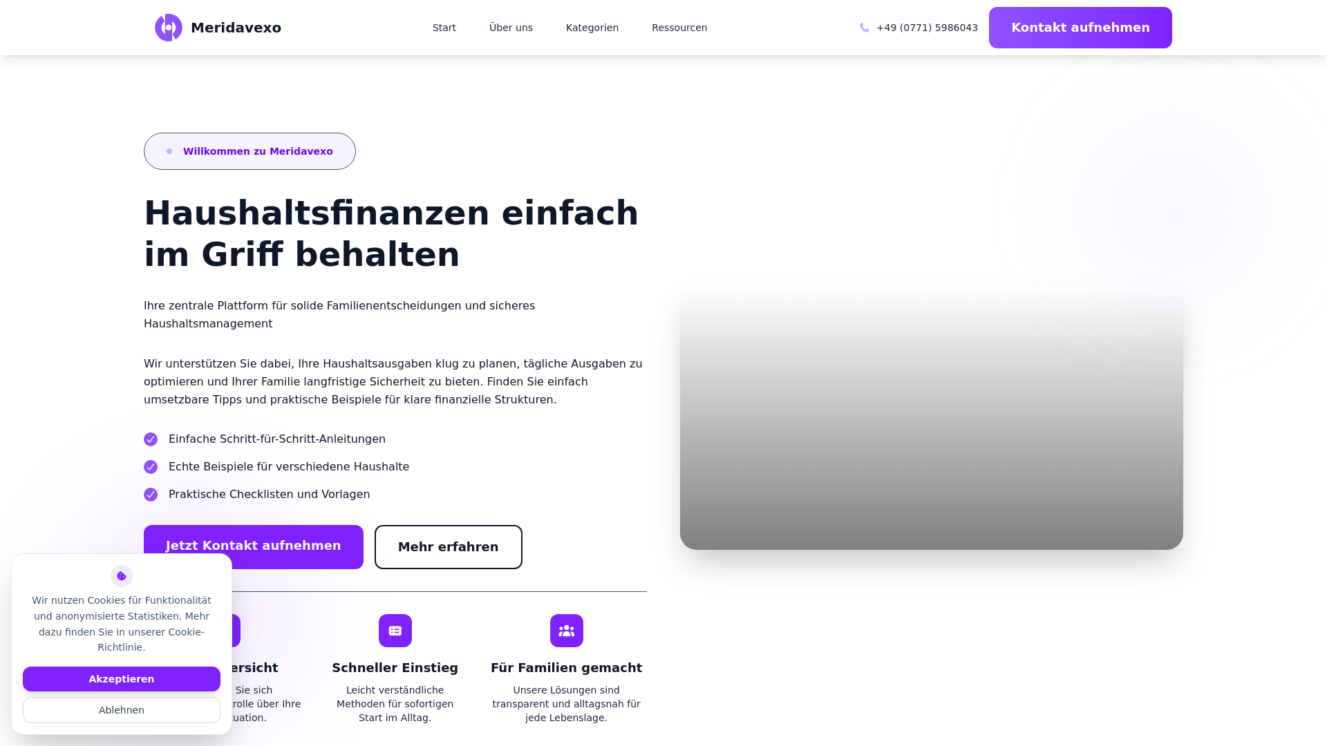 website screenshot of https://meridavexo.com/