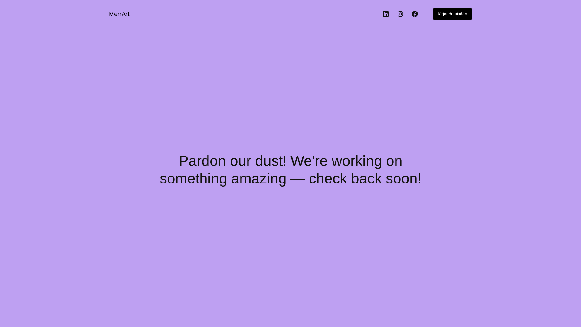 website screenshot of https://merrart.fi/