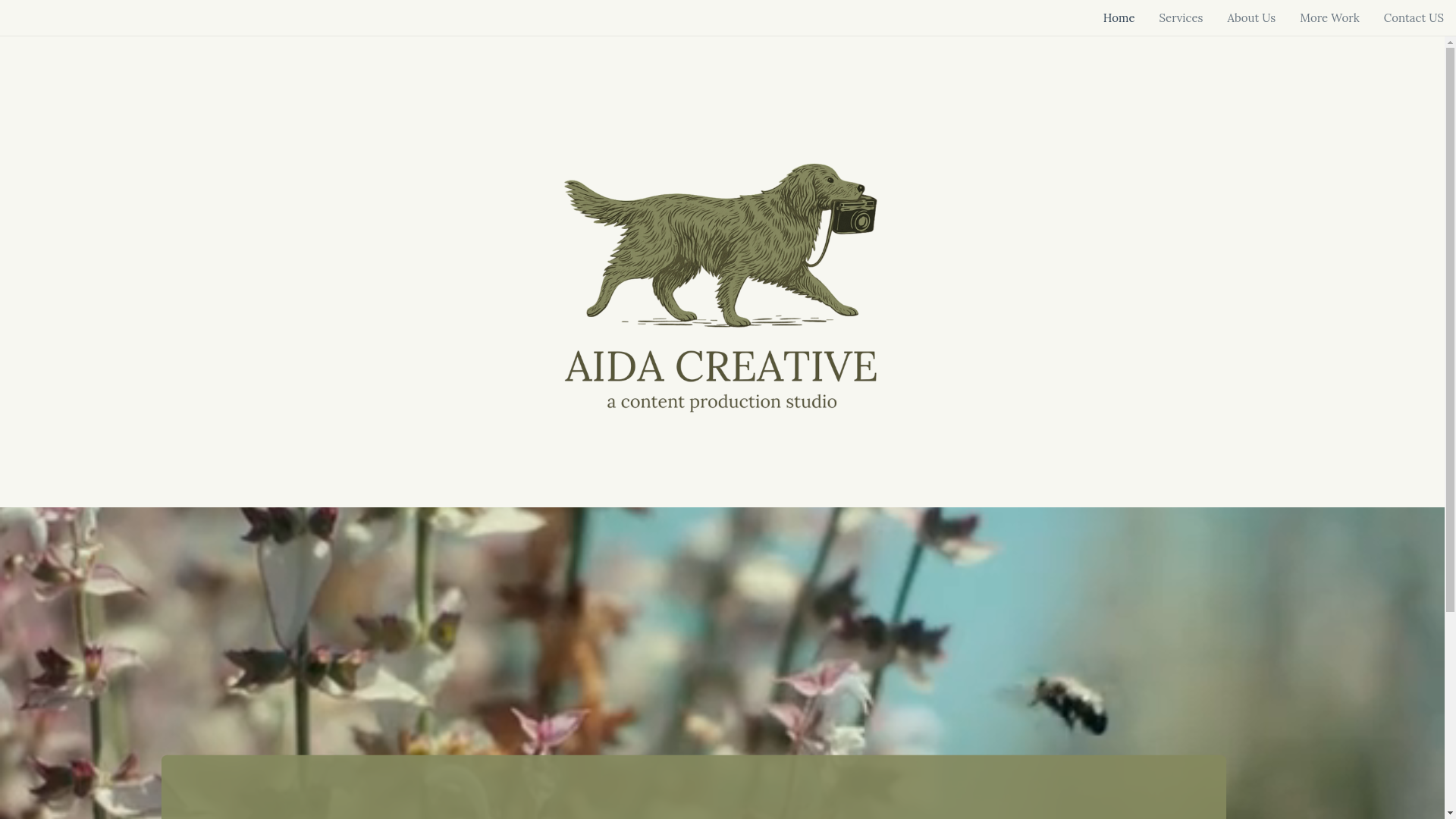 website screenshot of https://aidacreativestudio.com/