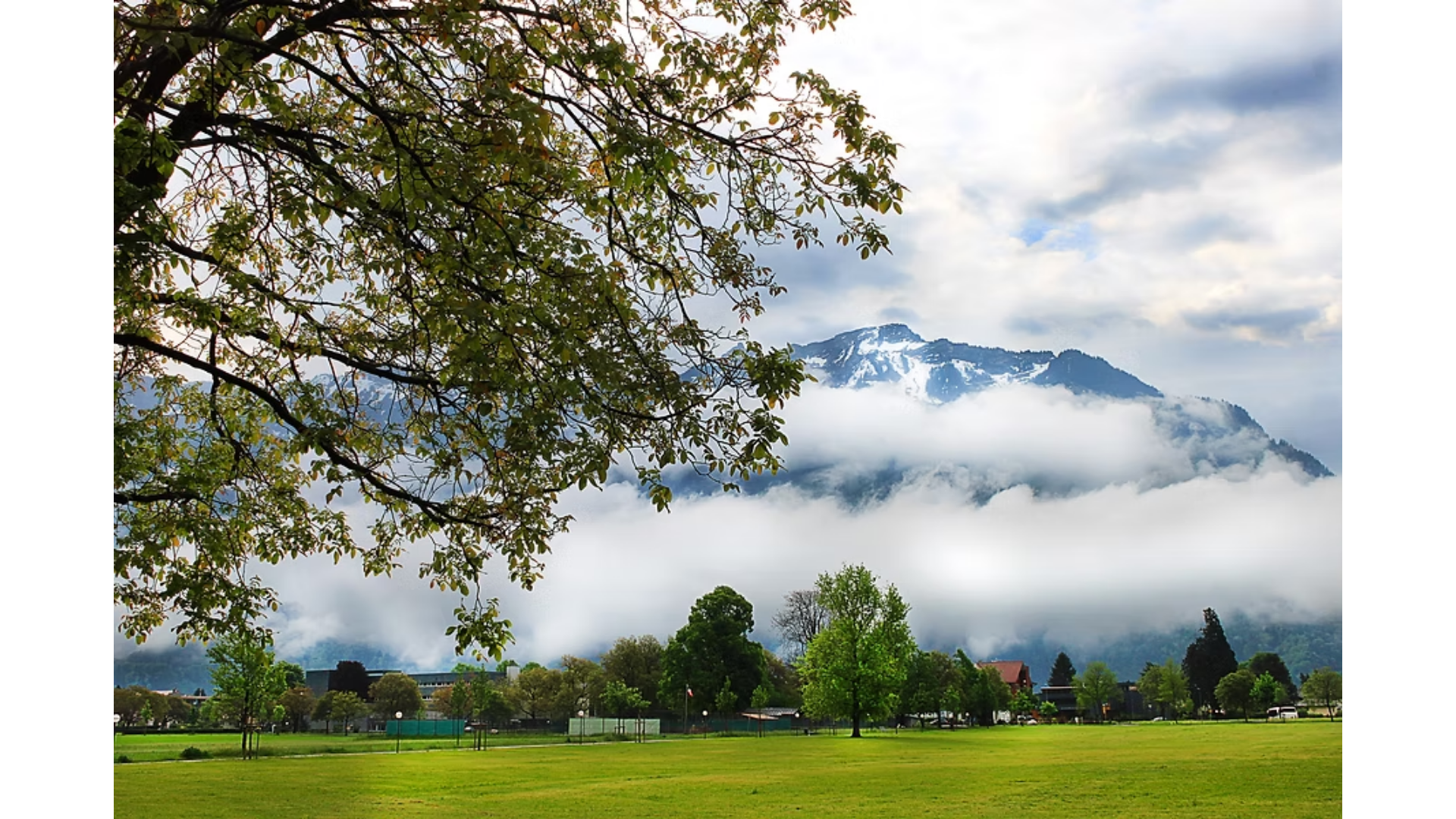 website screenshot of https://shutteredspectacle.com