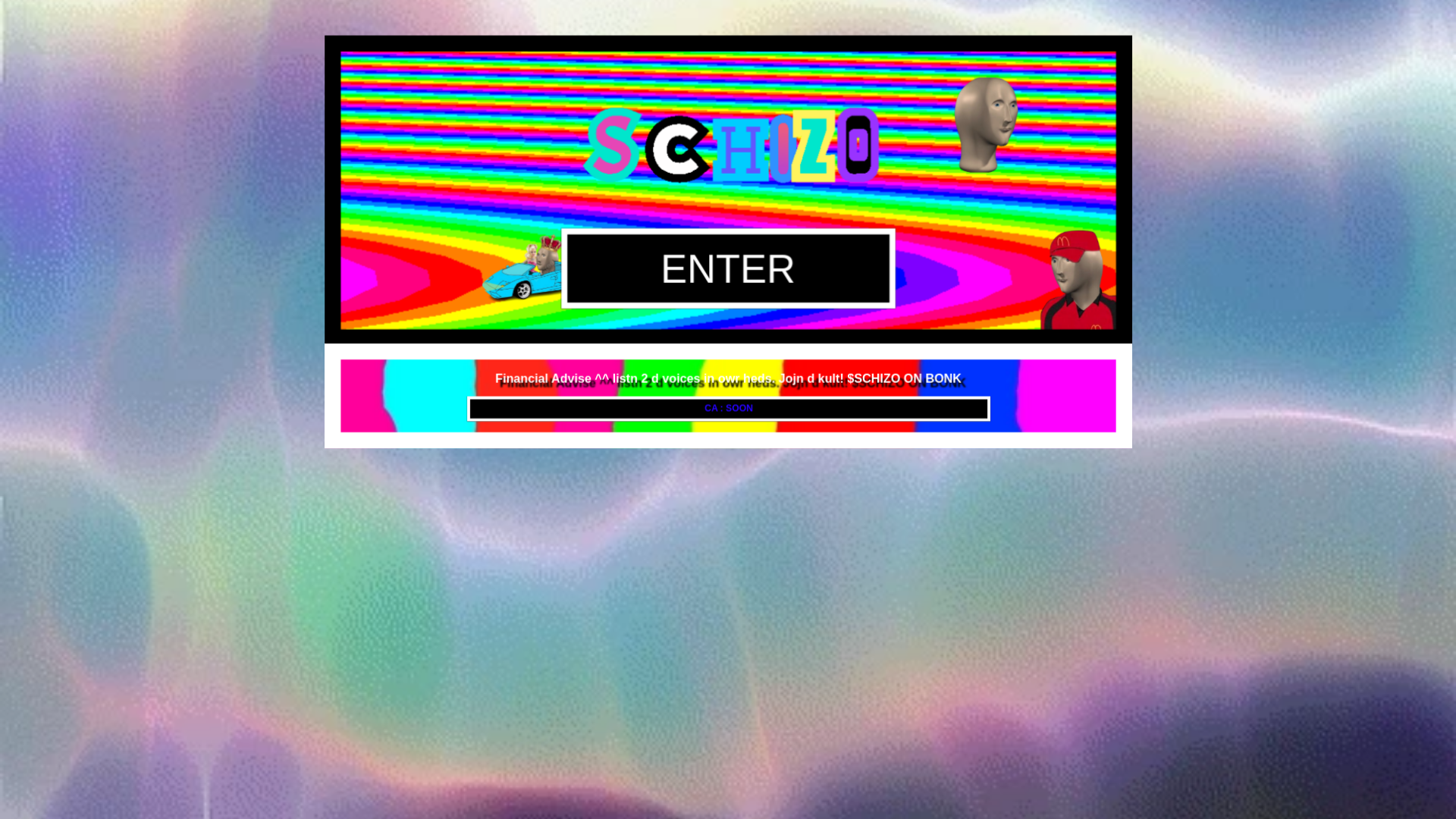 website screenshot of https://schizotoken.fun/