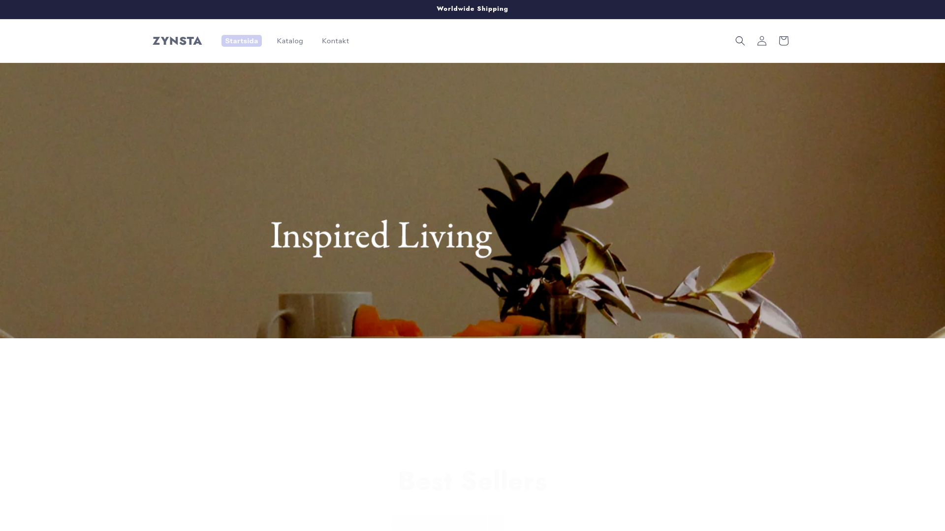 website screenshot of https://zynstacare.com/