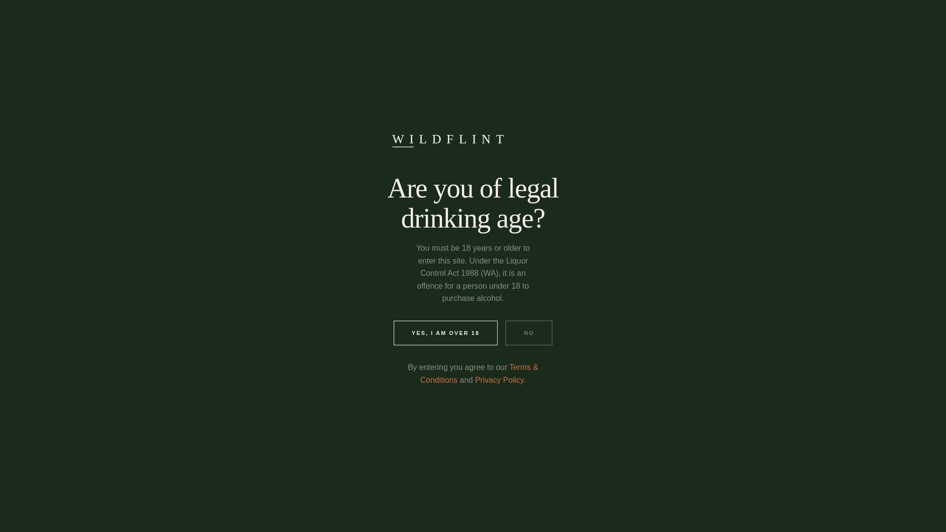 website screenshot of https://wildflint.pages.dev/