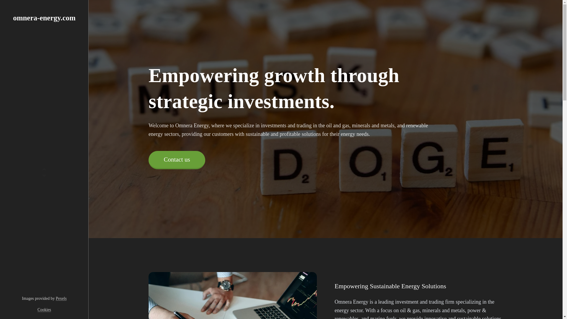 website screenshot of https://omnera-energy.com/
