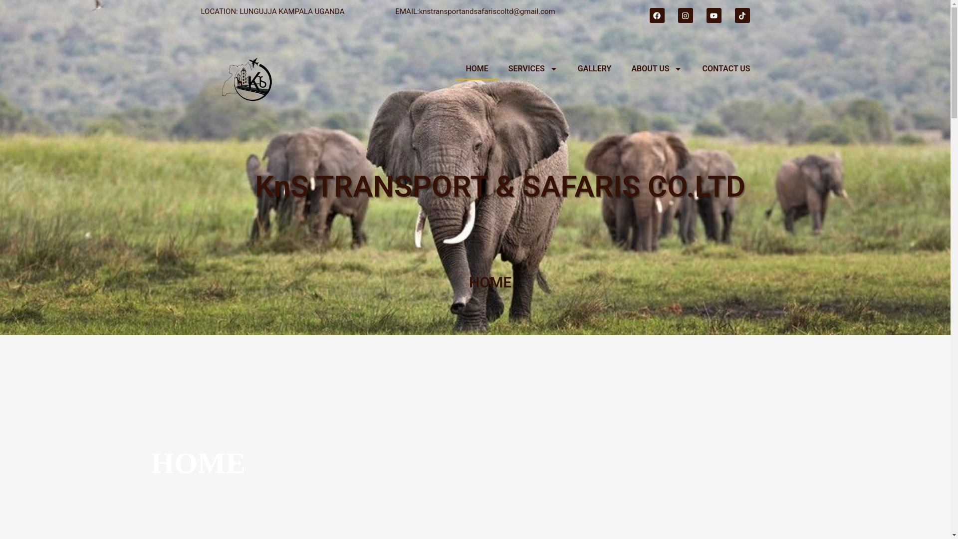 website screenshot of https://knssafaris.com/