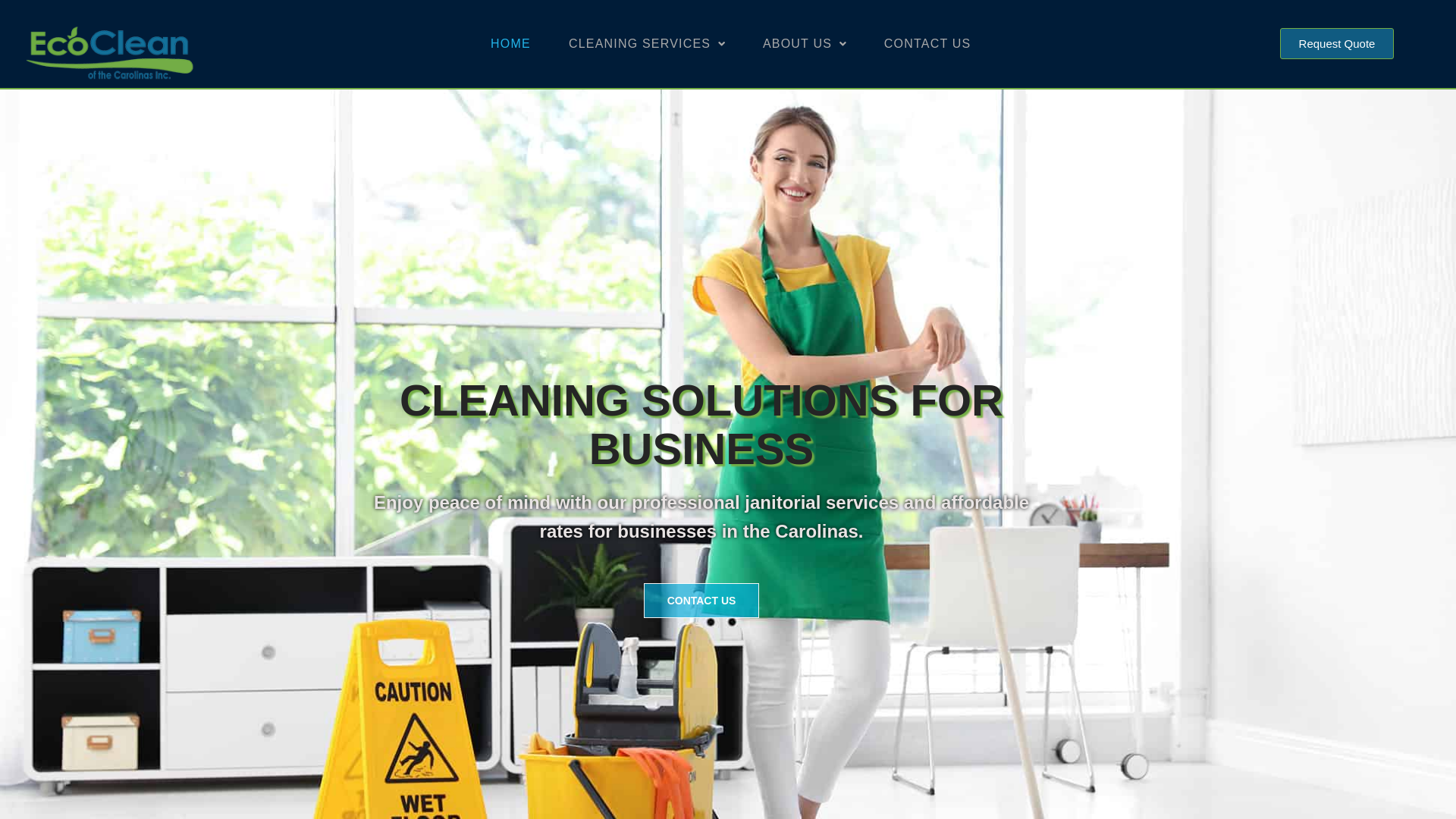 website screenshot of https://ecocleancarolinasdirect.info