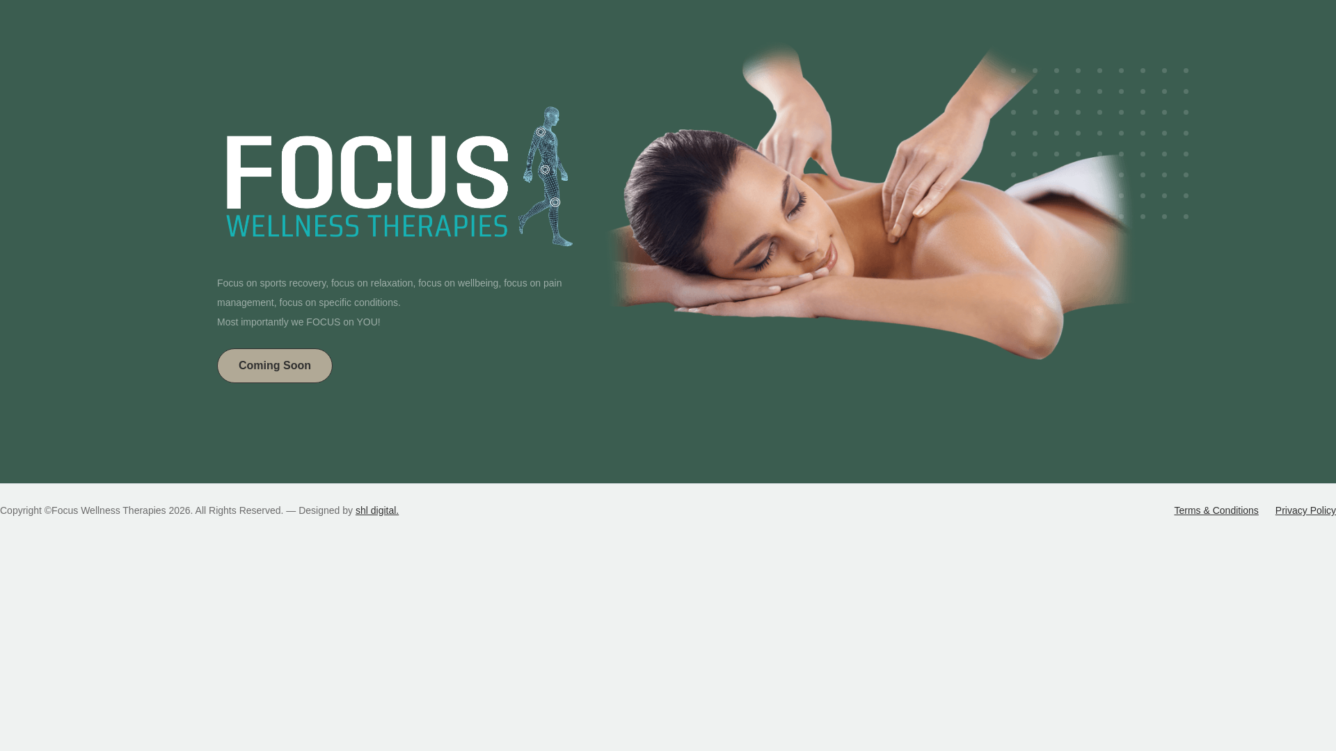 website screenshot of https://focuswellnesstherapies.com
