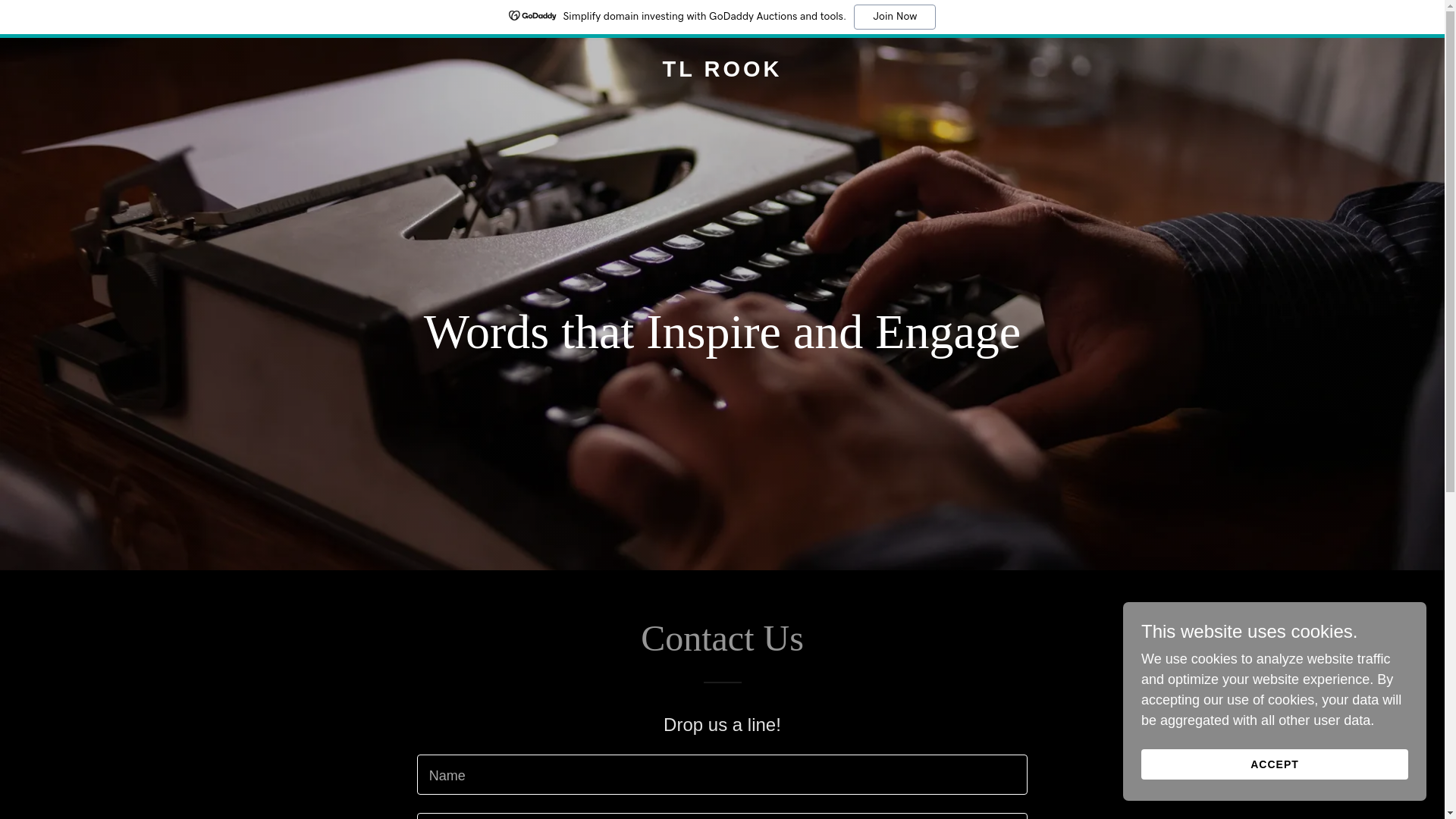 website screenshot of https://tlrook.net/