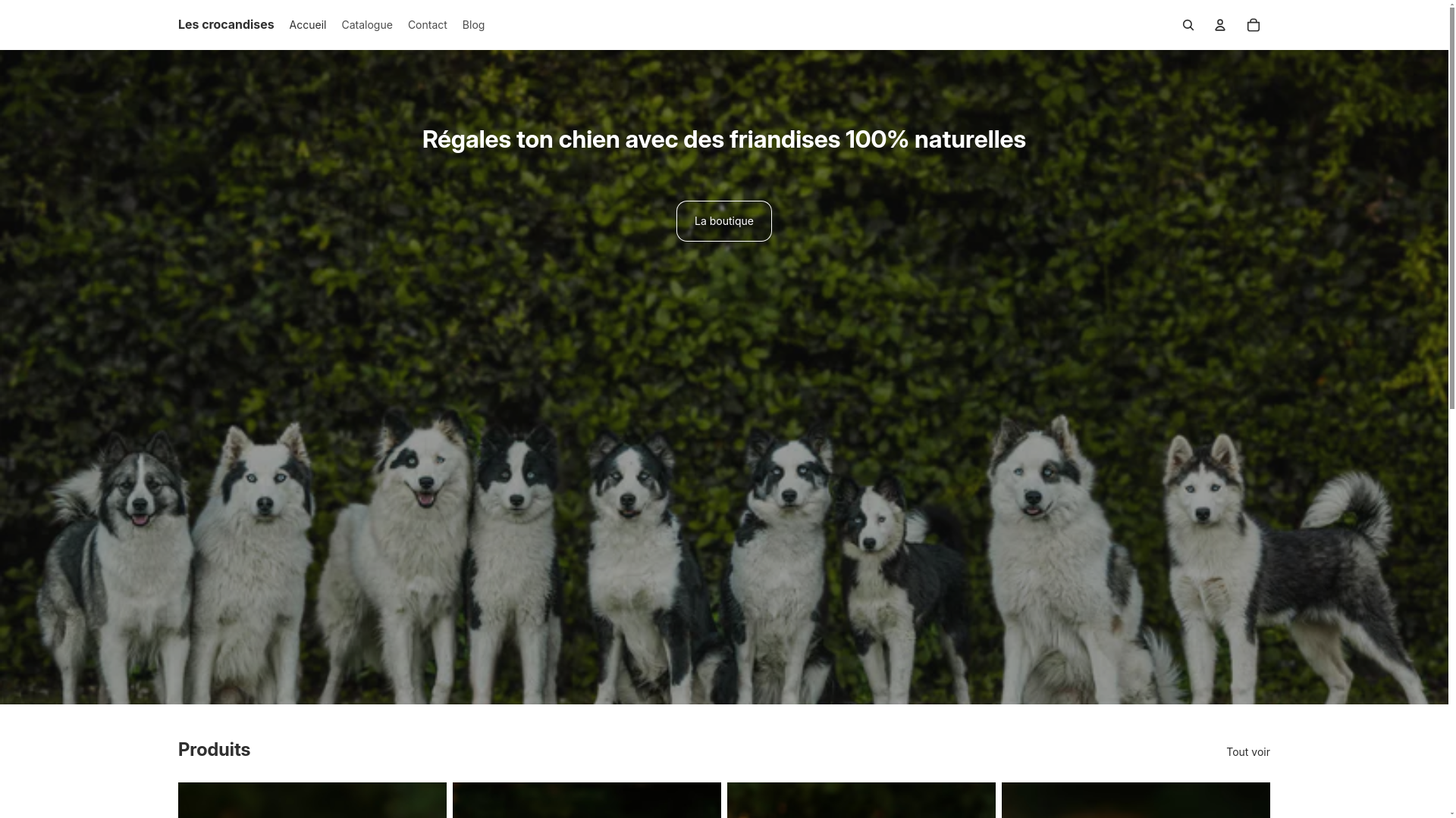 website screenshot of https://lescrocandises.fr/