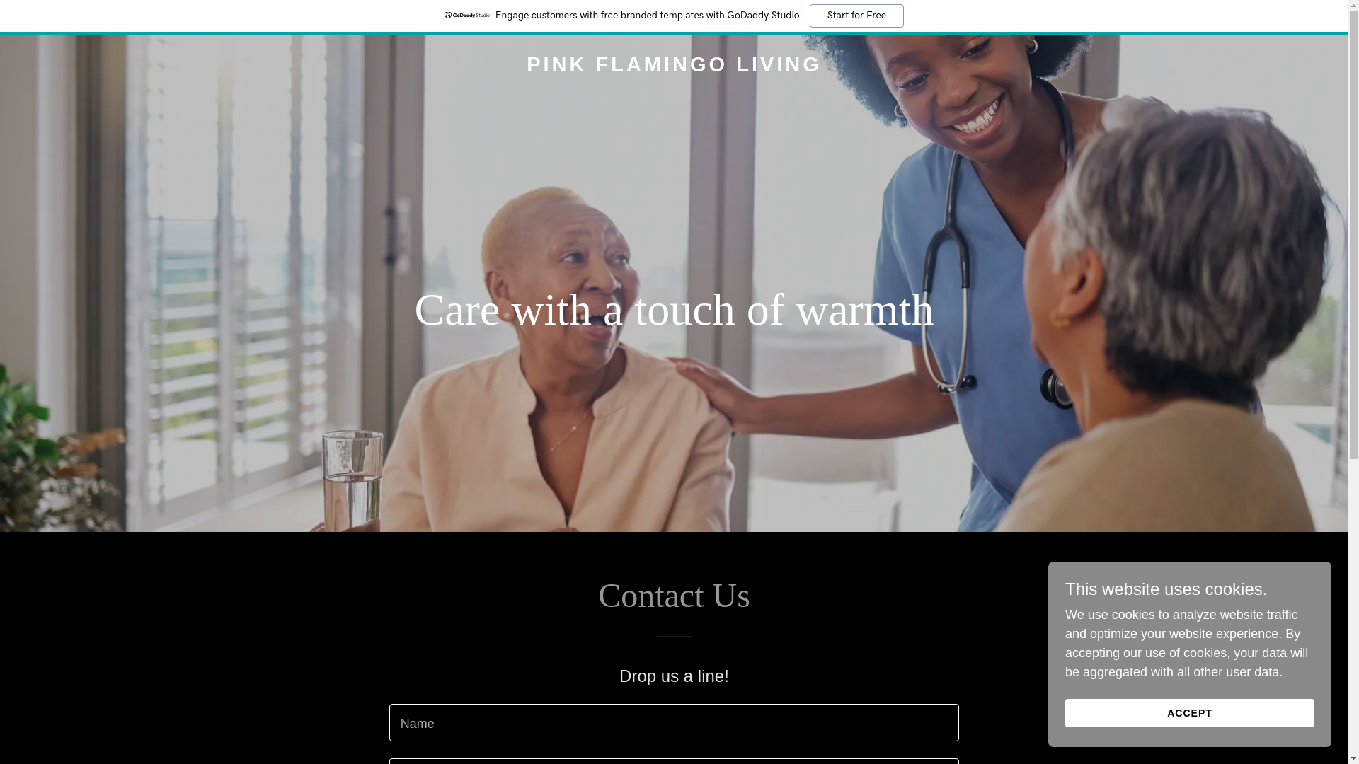 website screenshot of https://pinkflamingoliving.com/