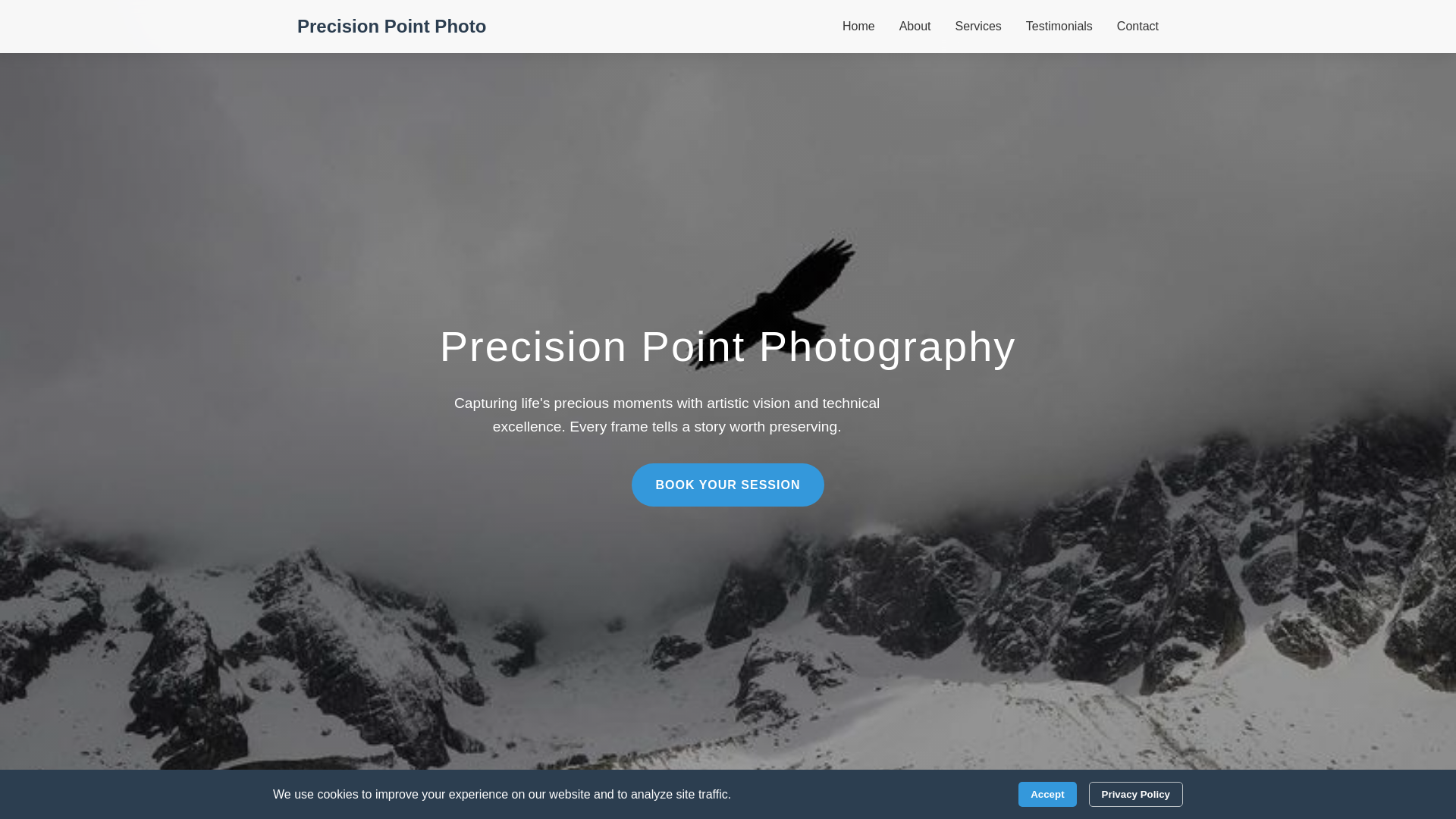 website screenshot of https://precisionpointphoto.click/