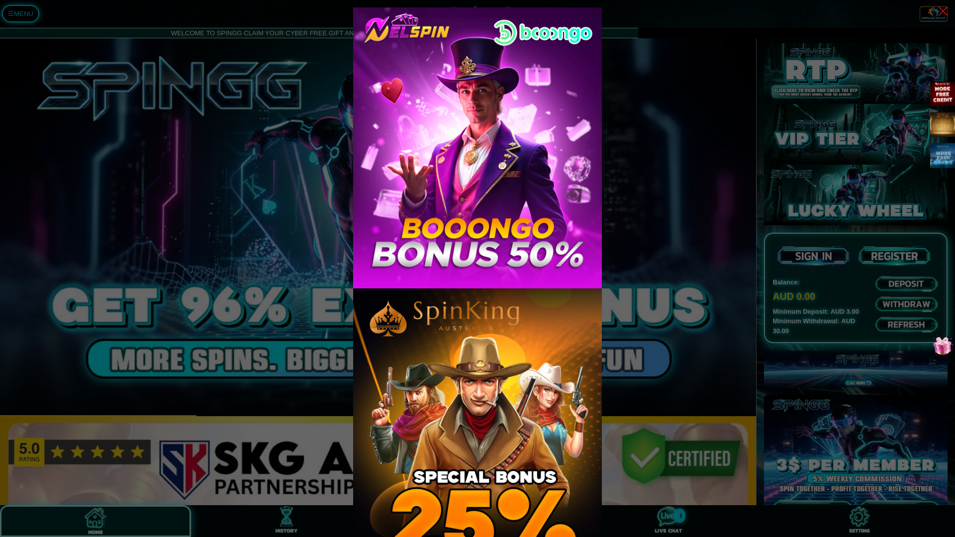 website screenshot of https://spingg.org/