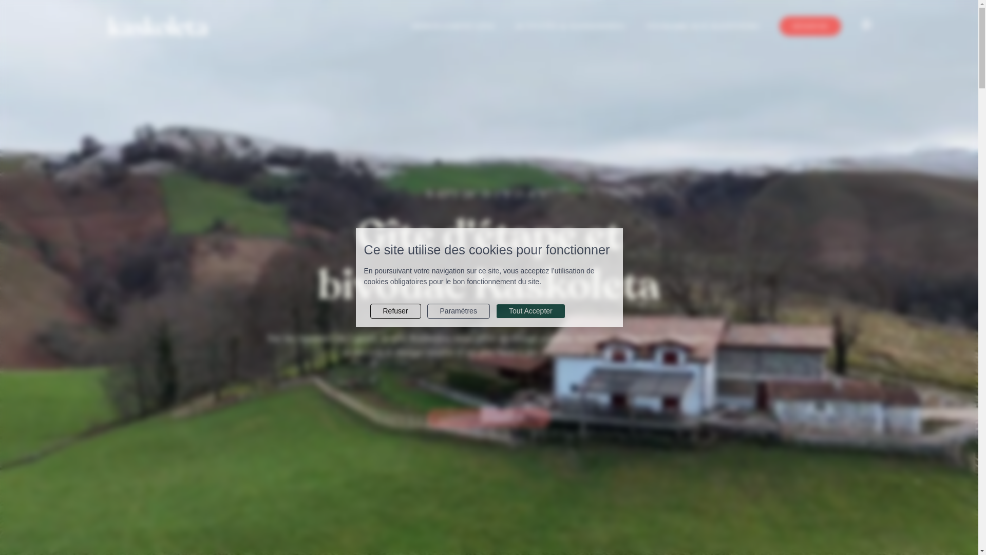 website screenshot of https://gite-kaskoleta.fr/