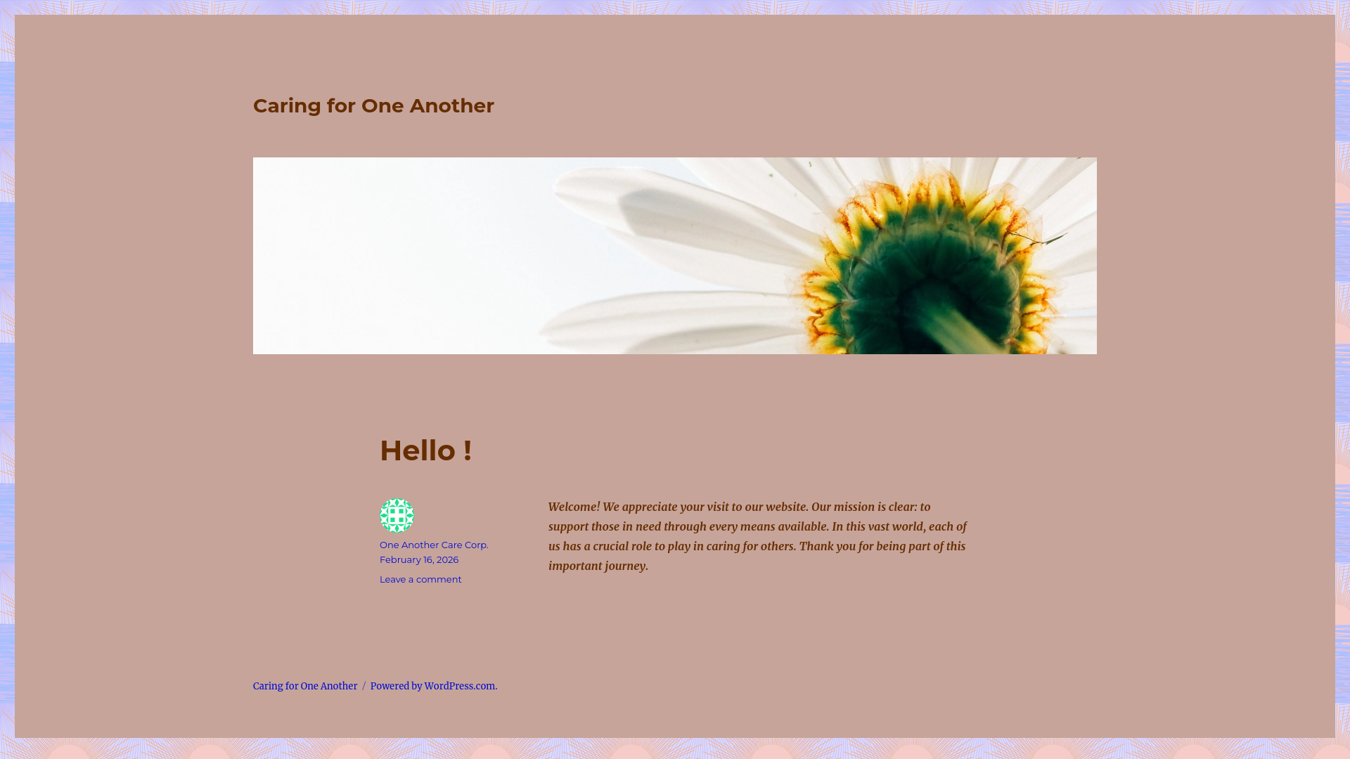 website screenshot of https://oneanothercare.org/