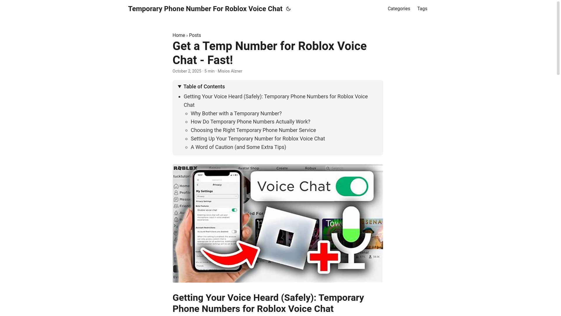 website screenshot of https://temporary-phone-number-for-roblox-voice-chat.pages.dev/