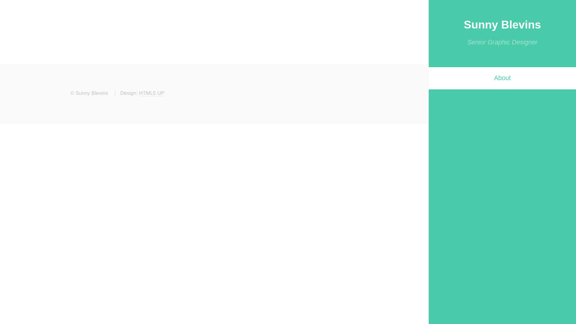 website screenshot of https://sunnydisplayads.com/