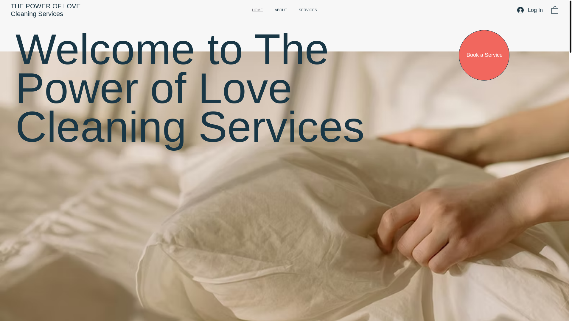 website screenshot of https://powerlovecleaning.com/