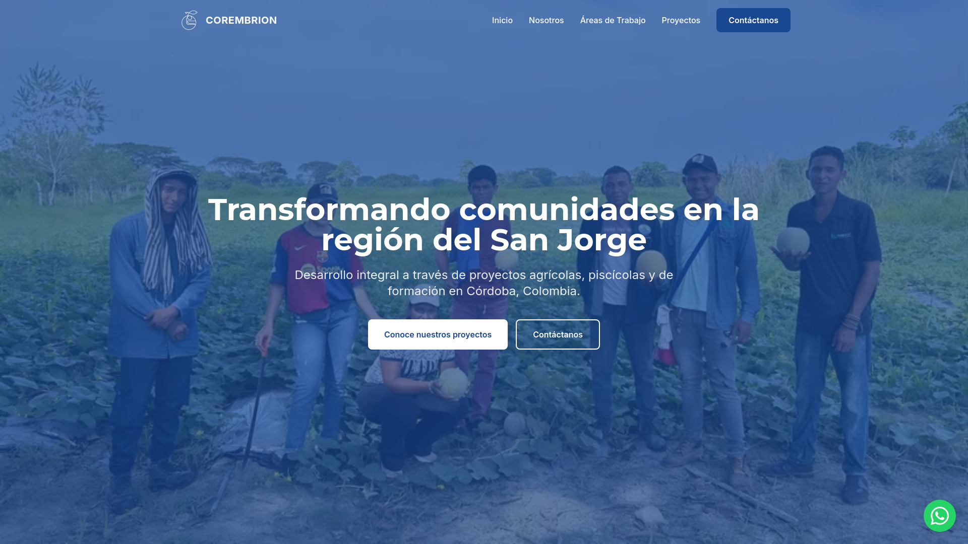 website screenshot of https://corembrion.com/