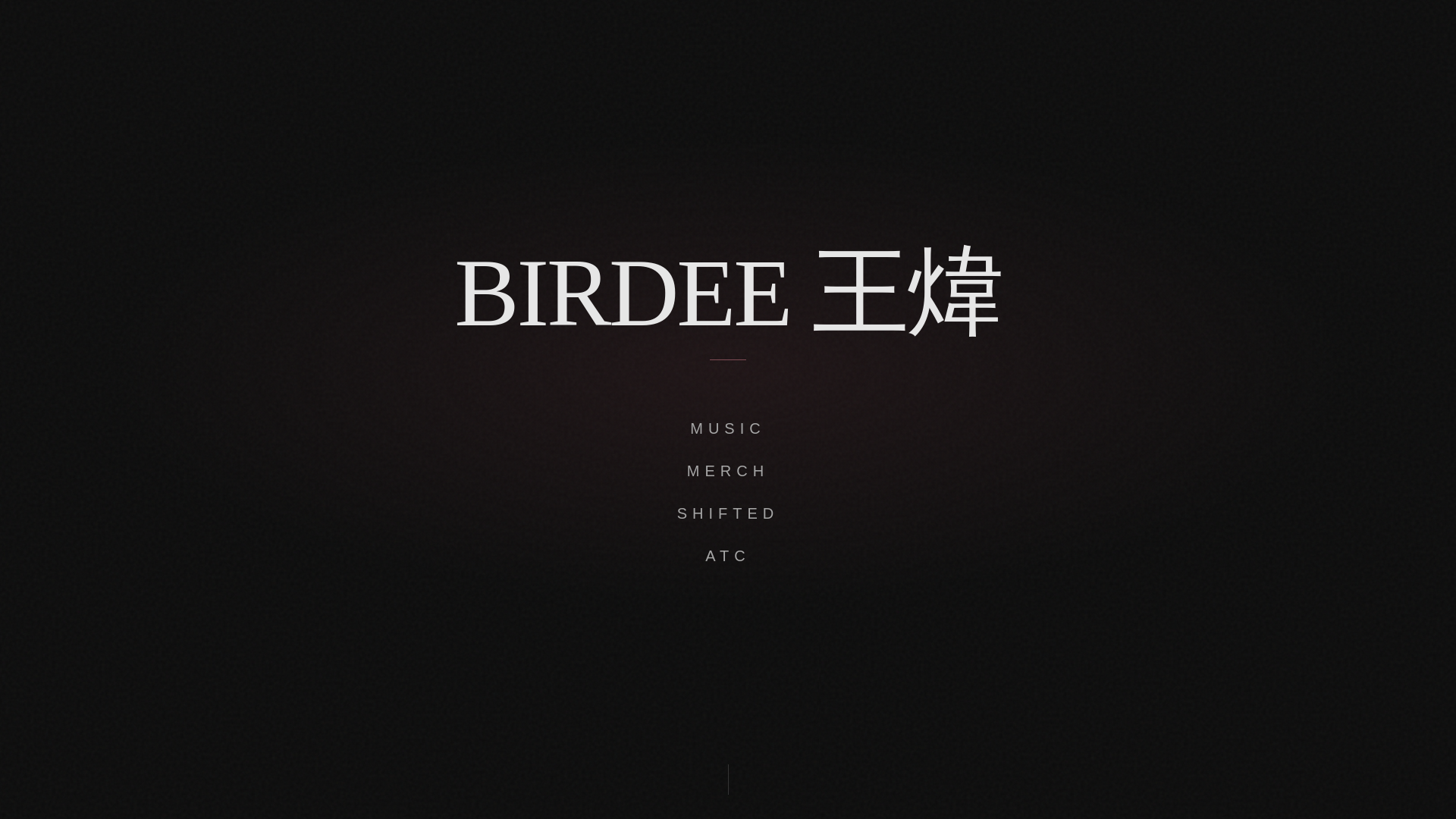 website screenshot of https://birdeesideris.com/