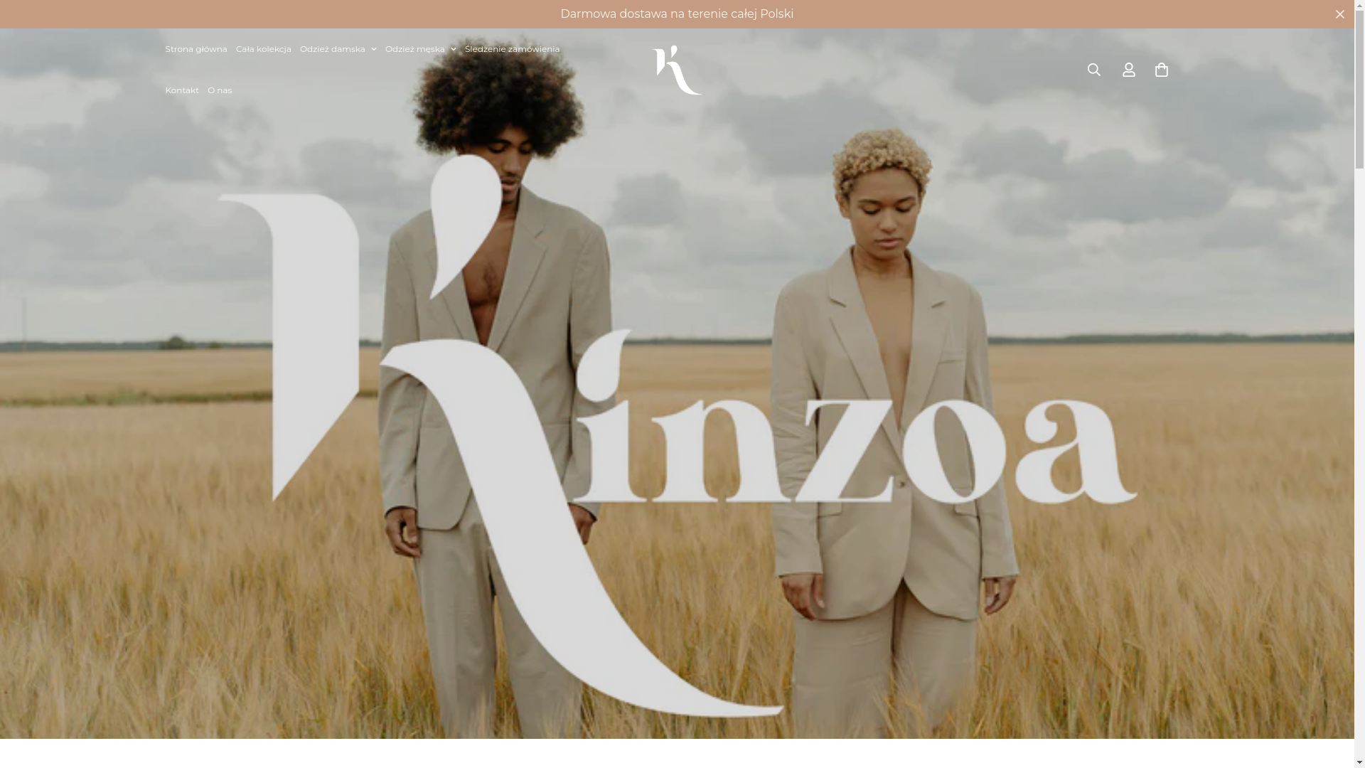 website screenshot of https://kinzova.com/