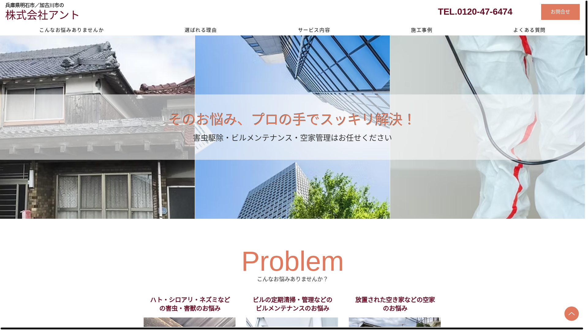 website screenshot of https://antant-hatokujyo.net/