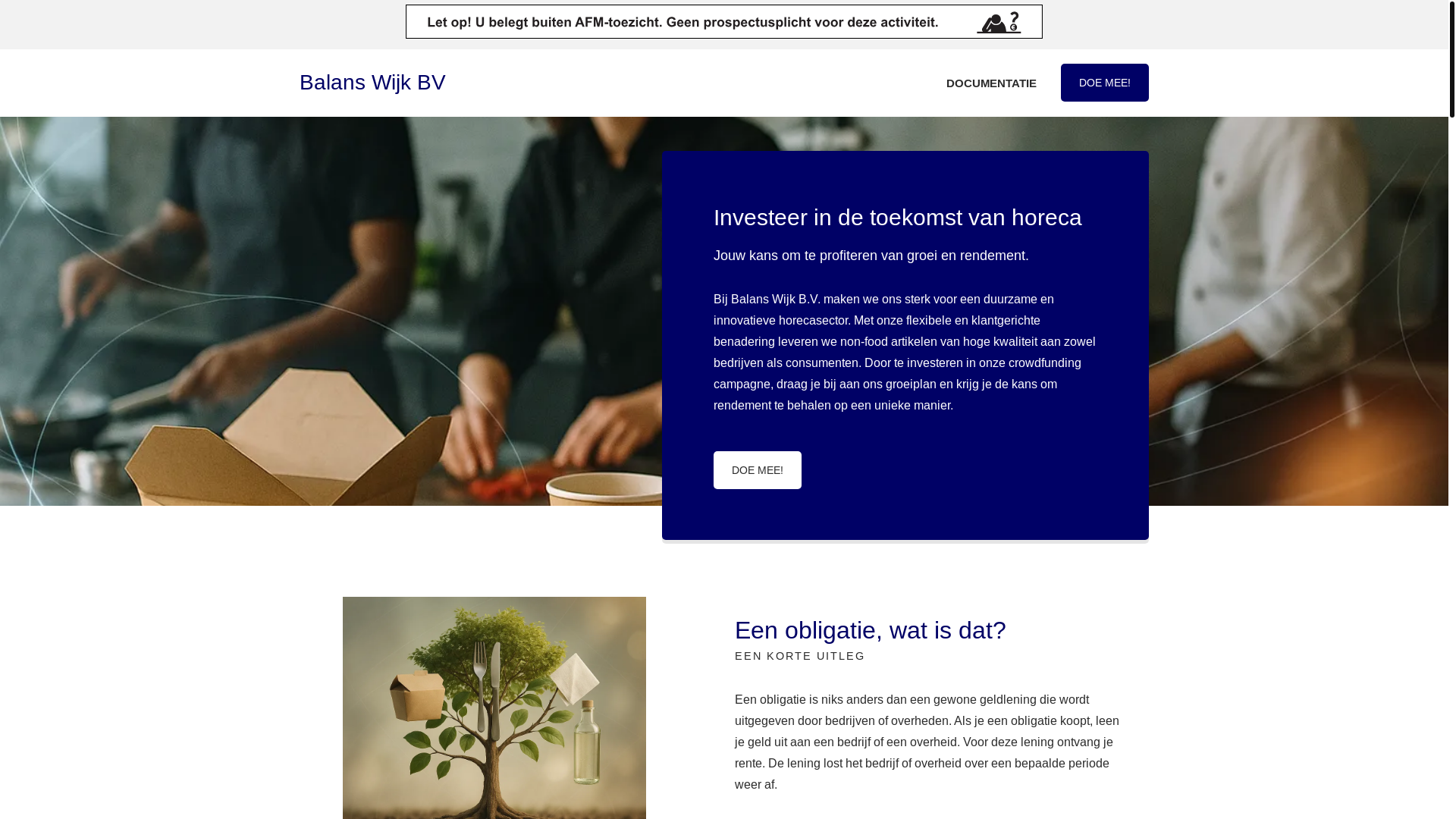 website screenshot of https://balans-wijk-bv-obligaties.nl/