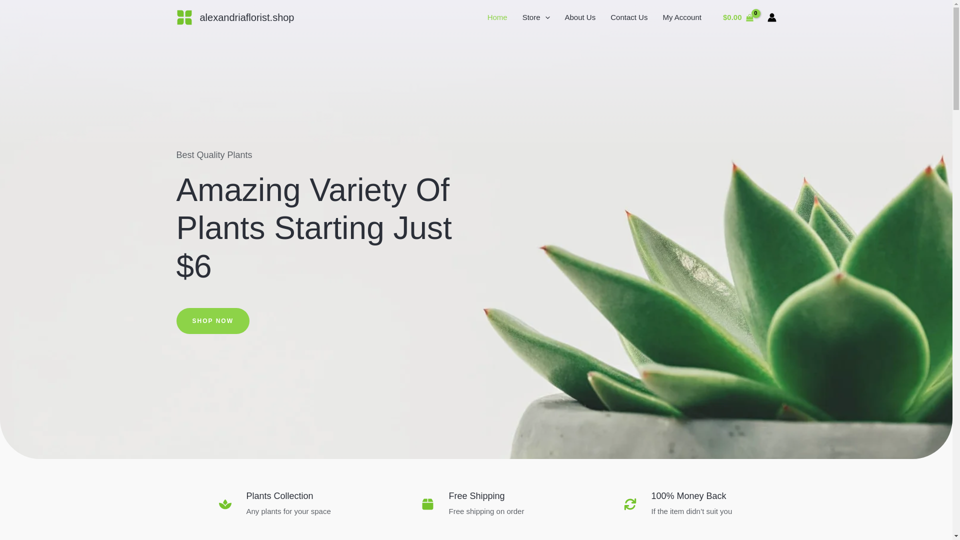 website screenshot of https://alexandriaflorist.shop/