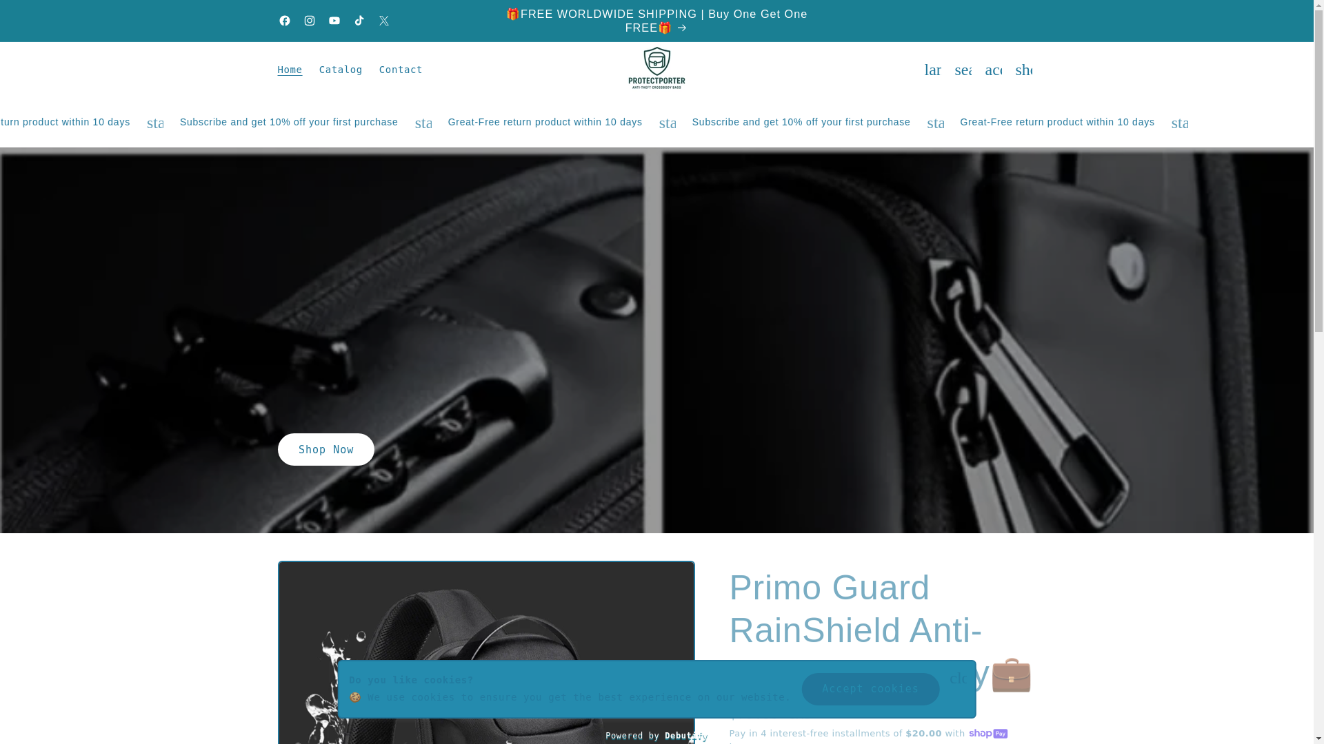 website screenshot of https://protectporter.store/
