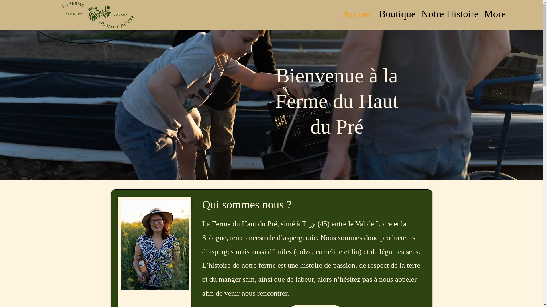 website screenshot of https://xn--hautdupr-i1a.fr/