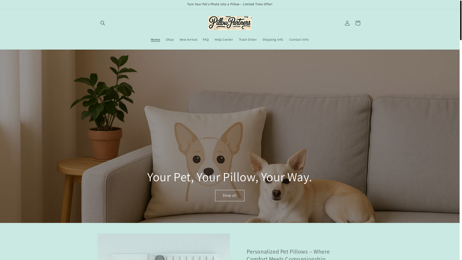website screenshot of https://pillowxpartners.com/