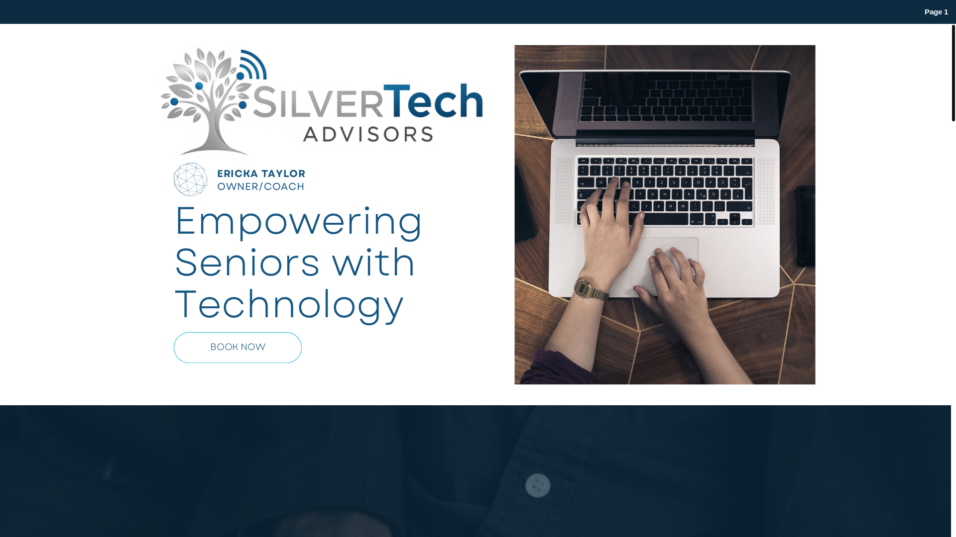 website screenshot of https://silvertechhelper.com/