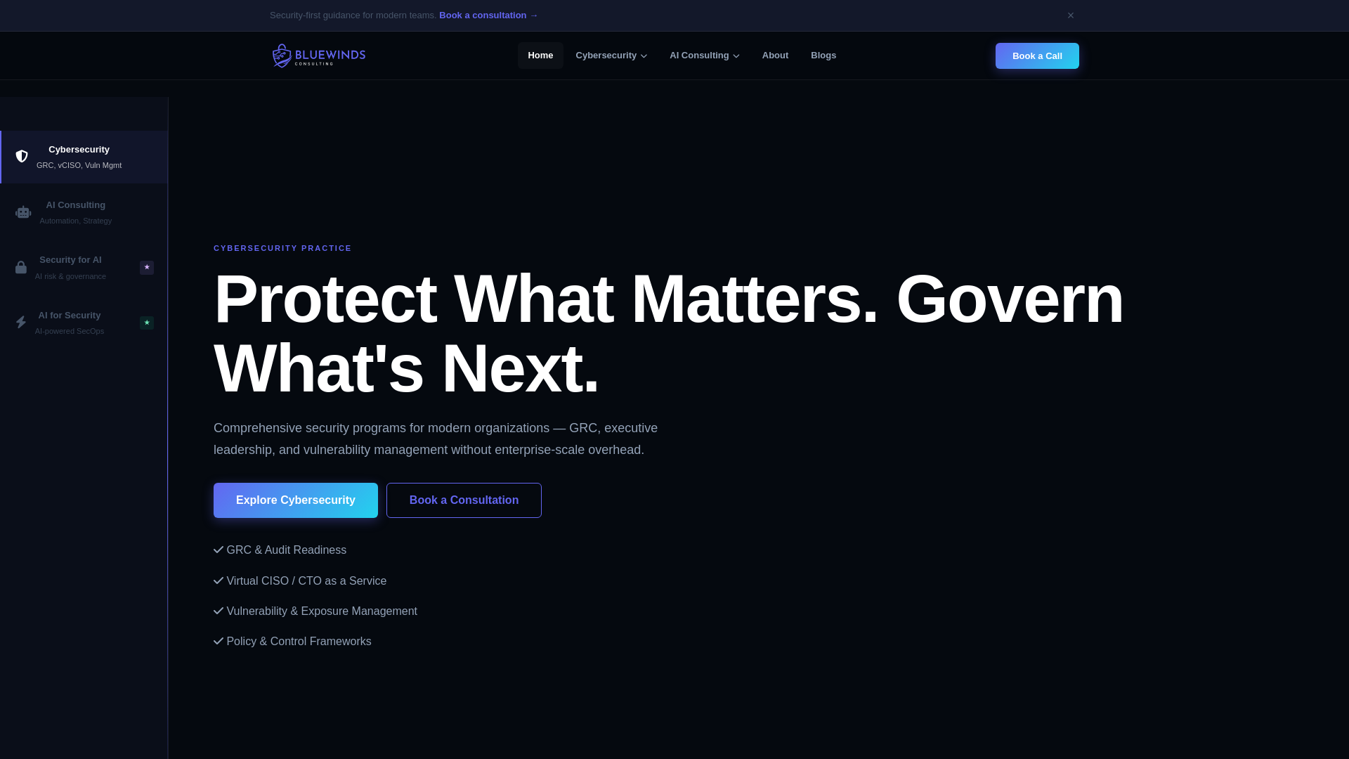 website screenshot of https://bluewinds-website.pages.dev/
