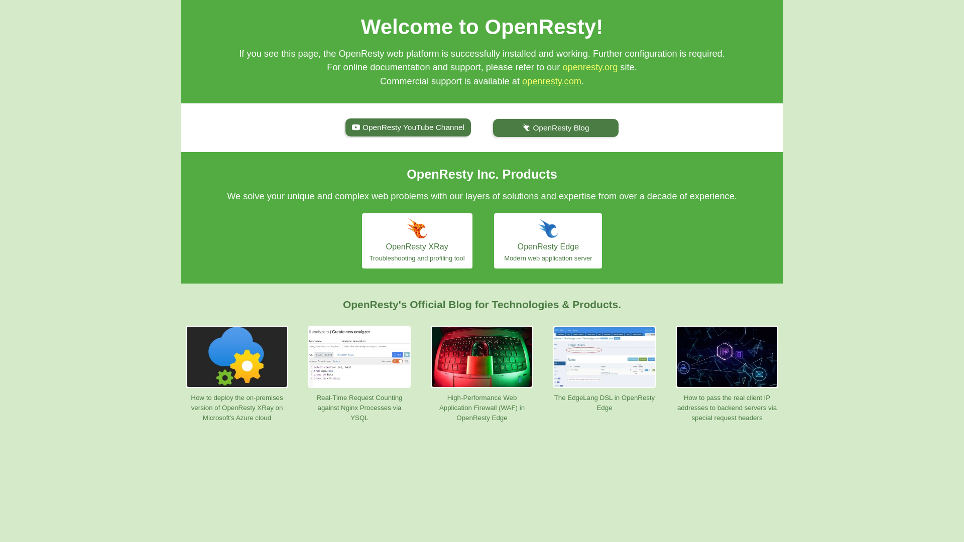 website screenshot of https://txdmv.govmfc.shop