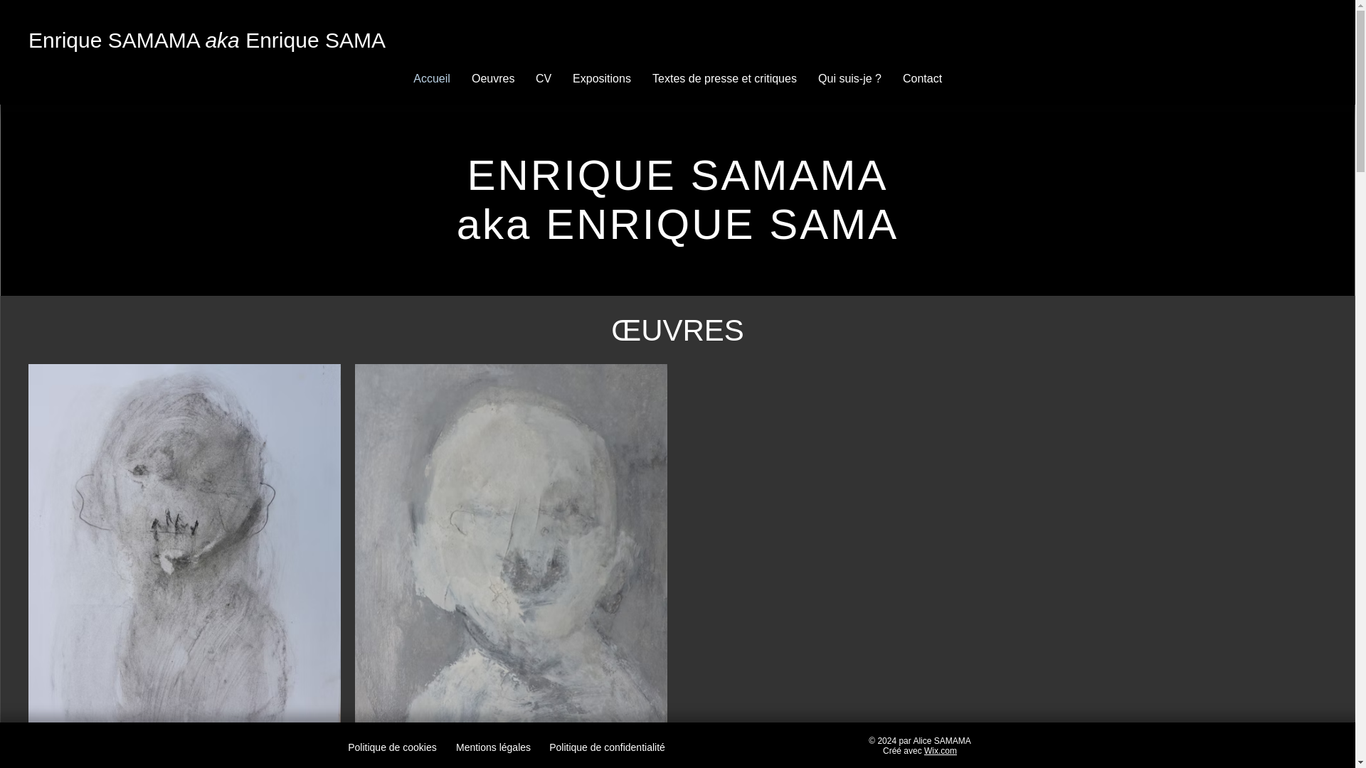 website screenshot of https://enrique-sama.com/