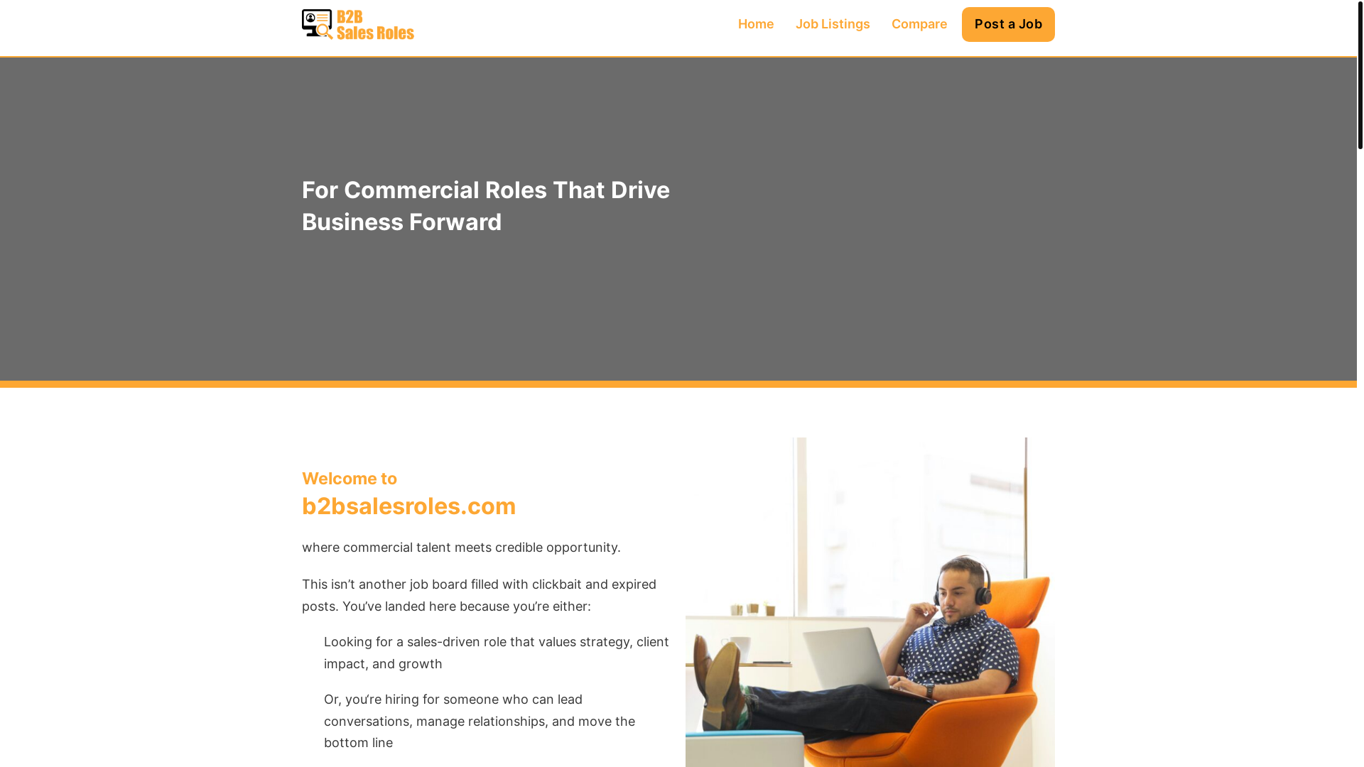 website screenshot of https://b2bsalesroles.com/