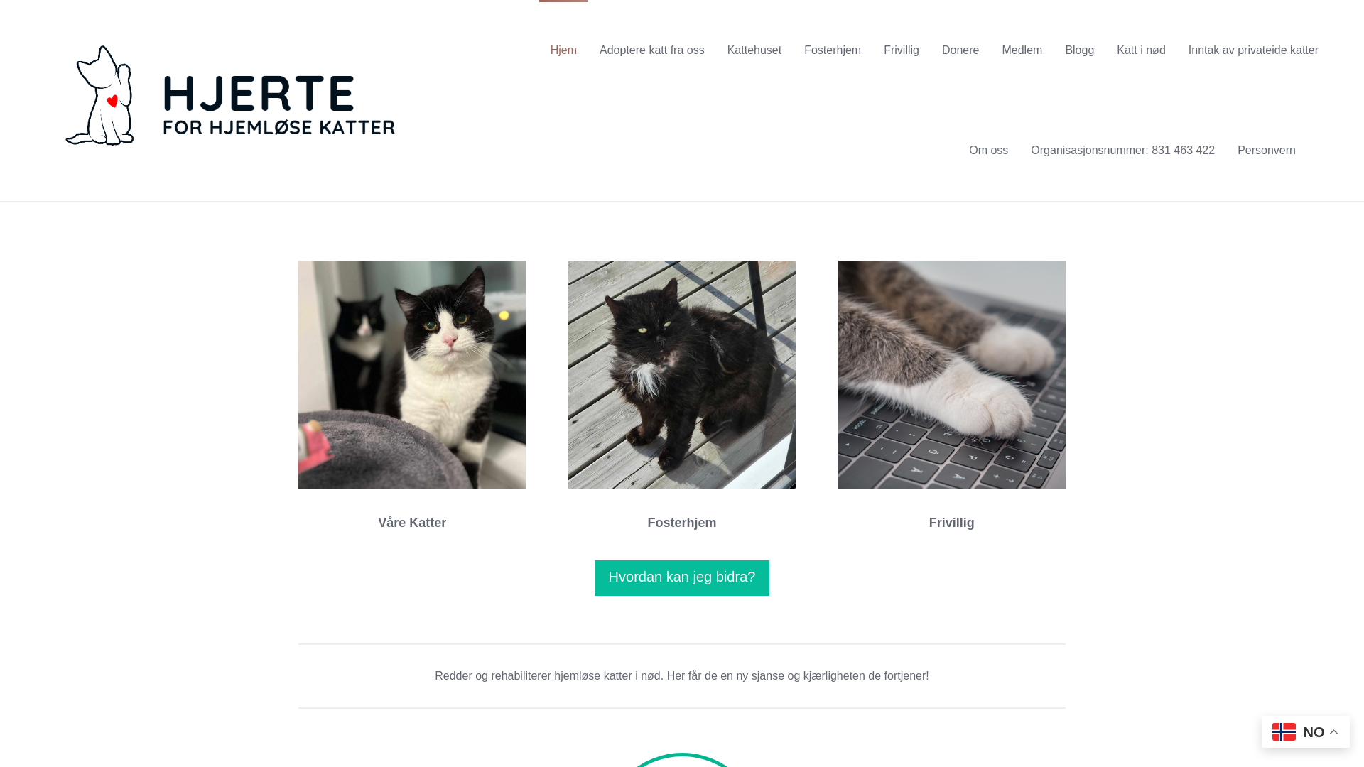website screenshot of https://hjerteforhjemlosekatter.no/