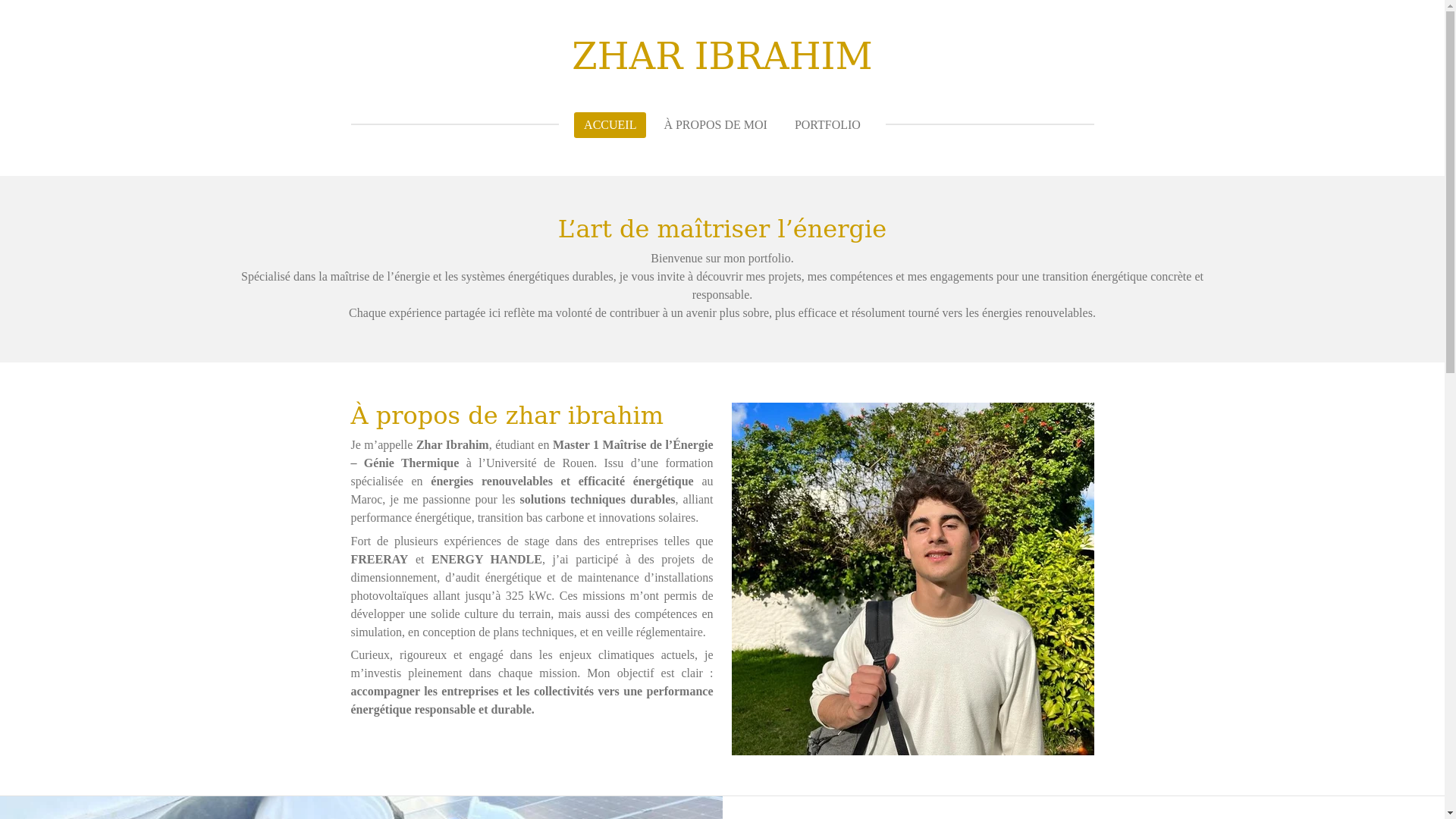 website screenshot of https://zharibrahim.fr/