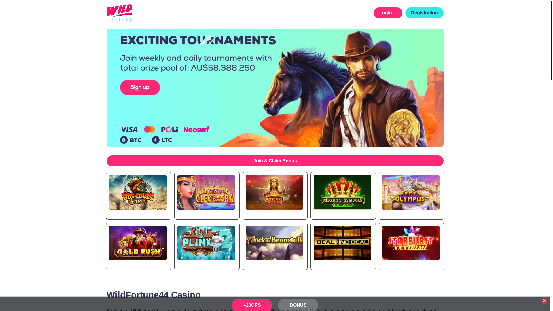 website screenshot of https://wildfortune44.com/