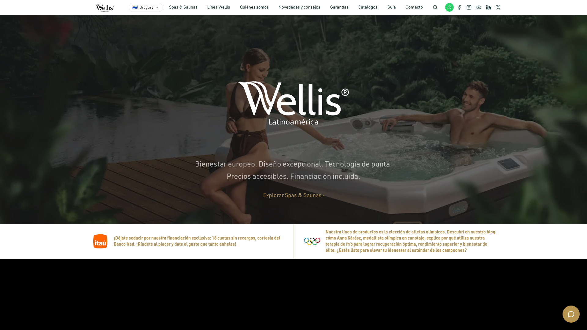 website screenshot of https://wellis-web-recreation.pages.dev/