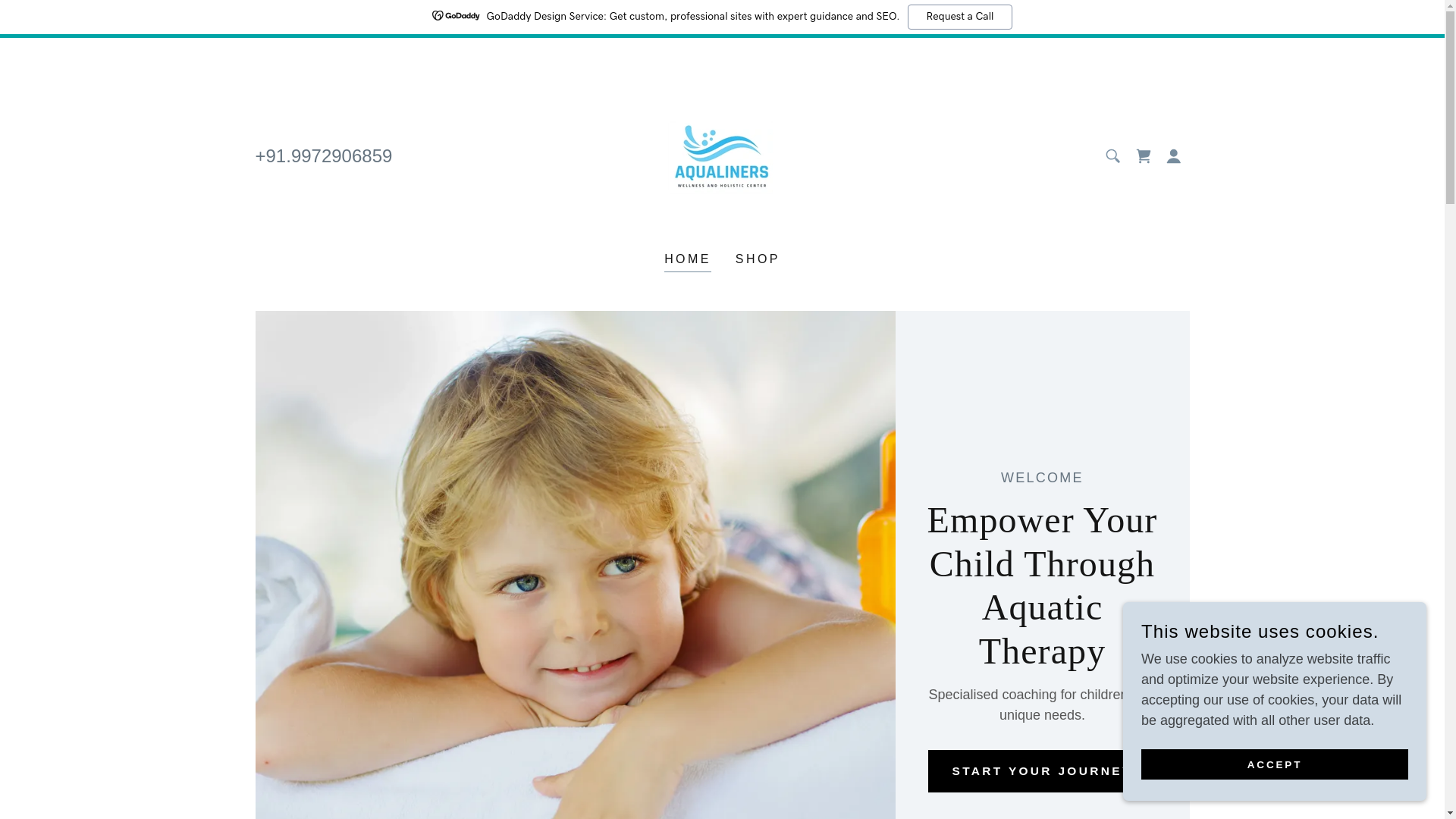 website screenshot of https://aqualiners.in/